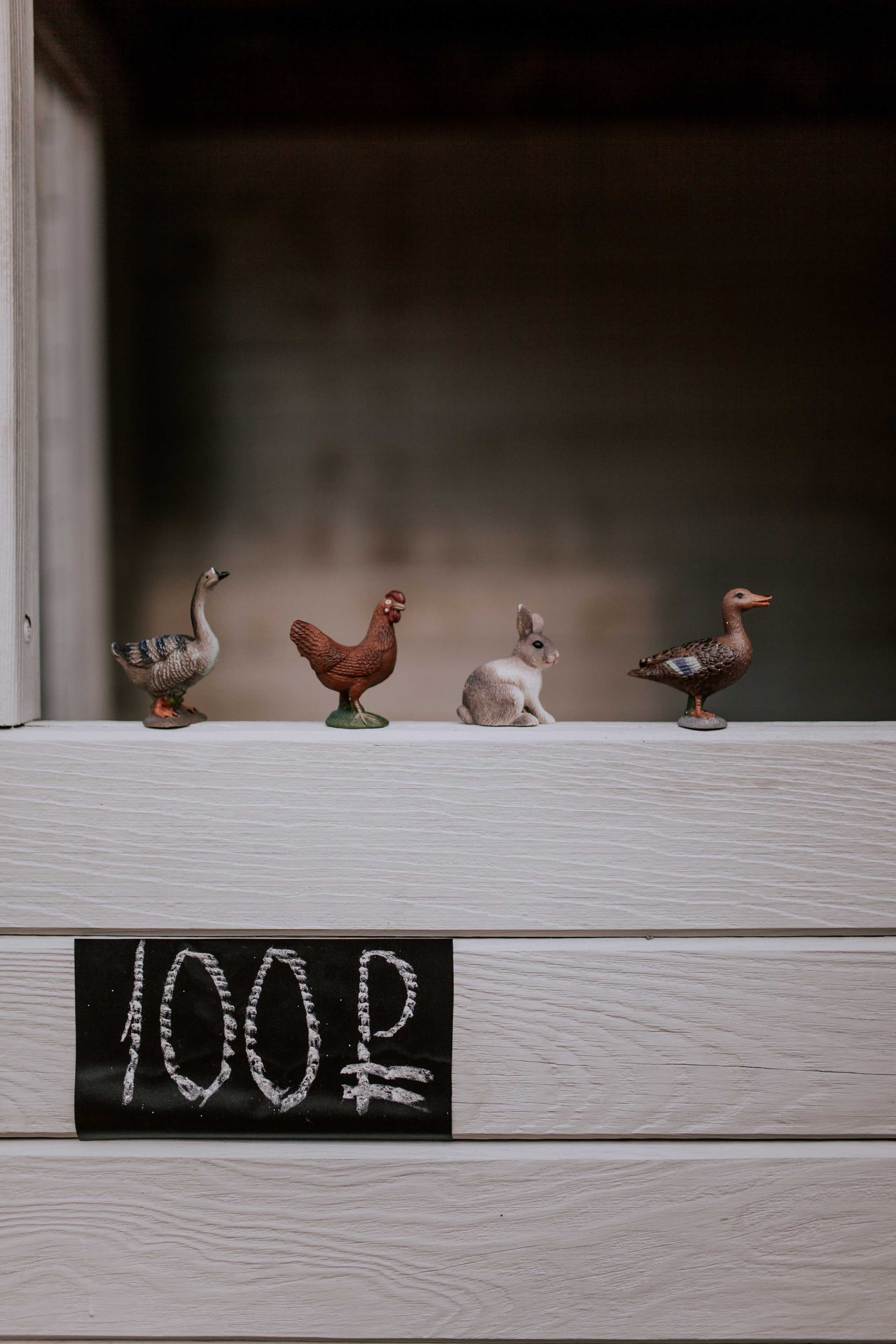 Семейная фотосессия в Тюмени. Фотограф Шелудкова Яна, город Тюмень