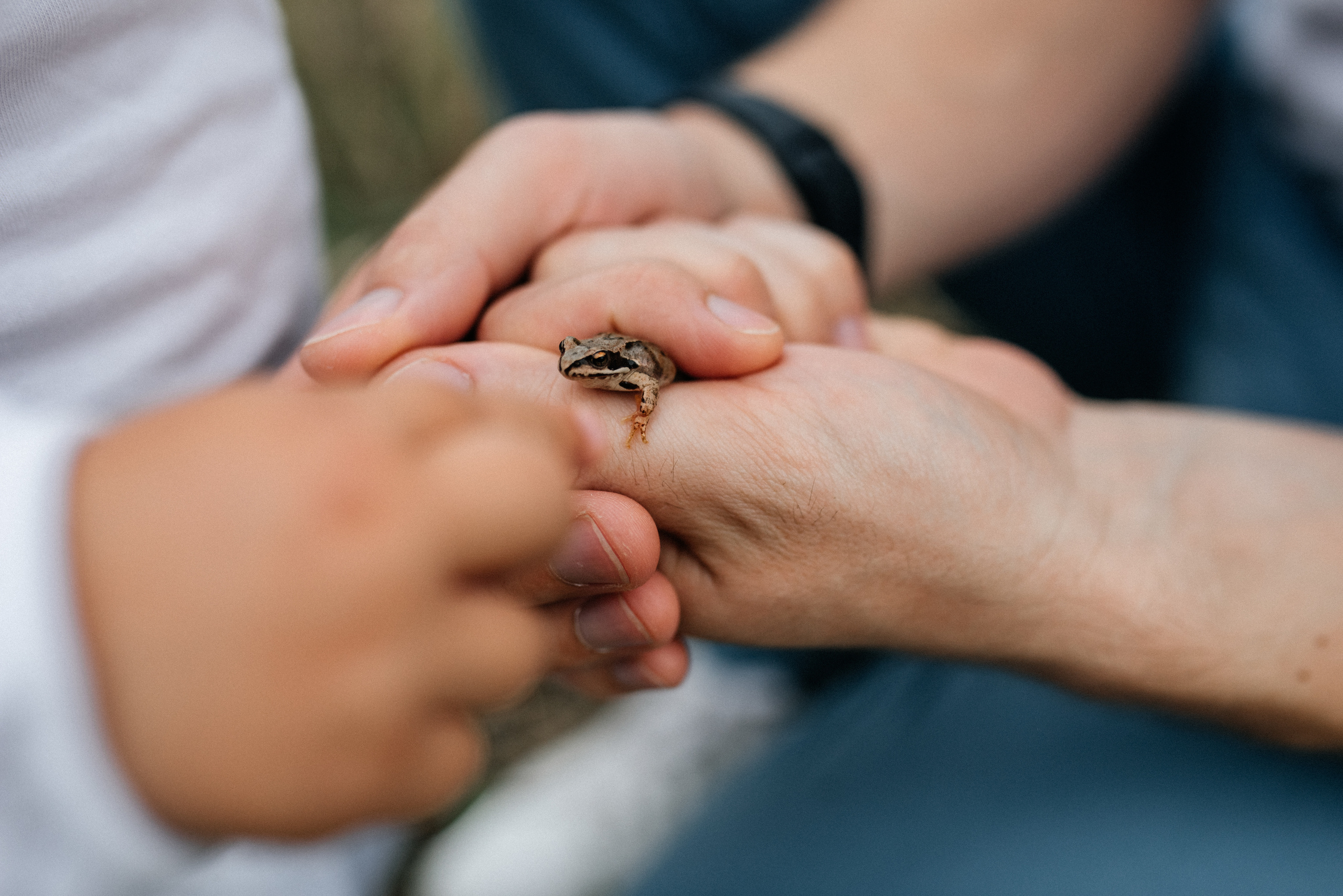 Наташа+Женя+Нина. Костюшко Кристина — семейный и свадебный фотограф в Минске