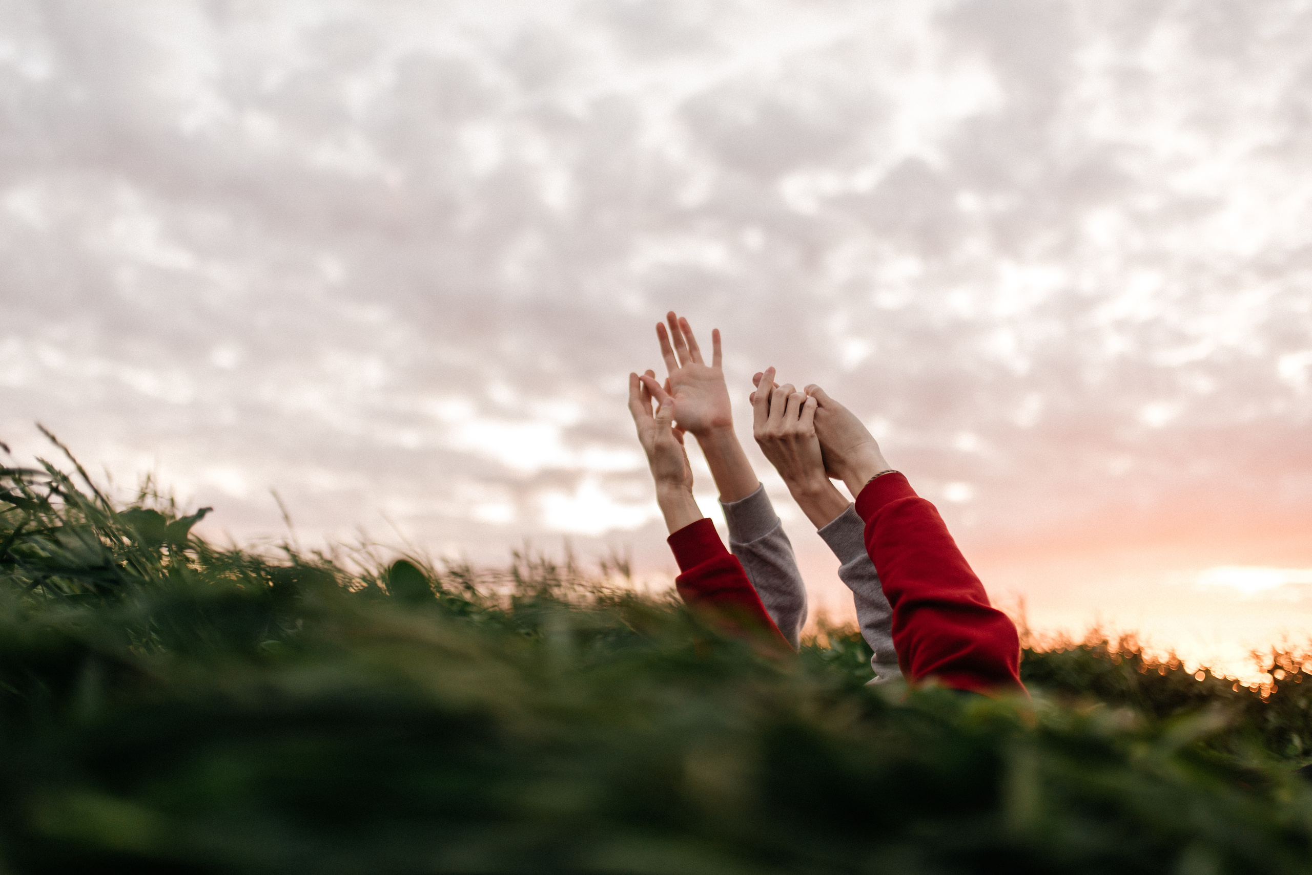 Катрин+Игнат. Костюшко Кристина — семейный и свадебный фотограф в Минске