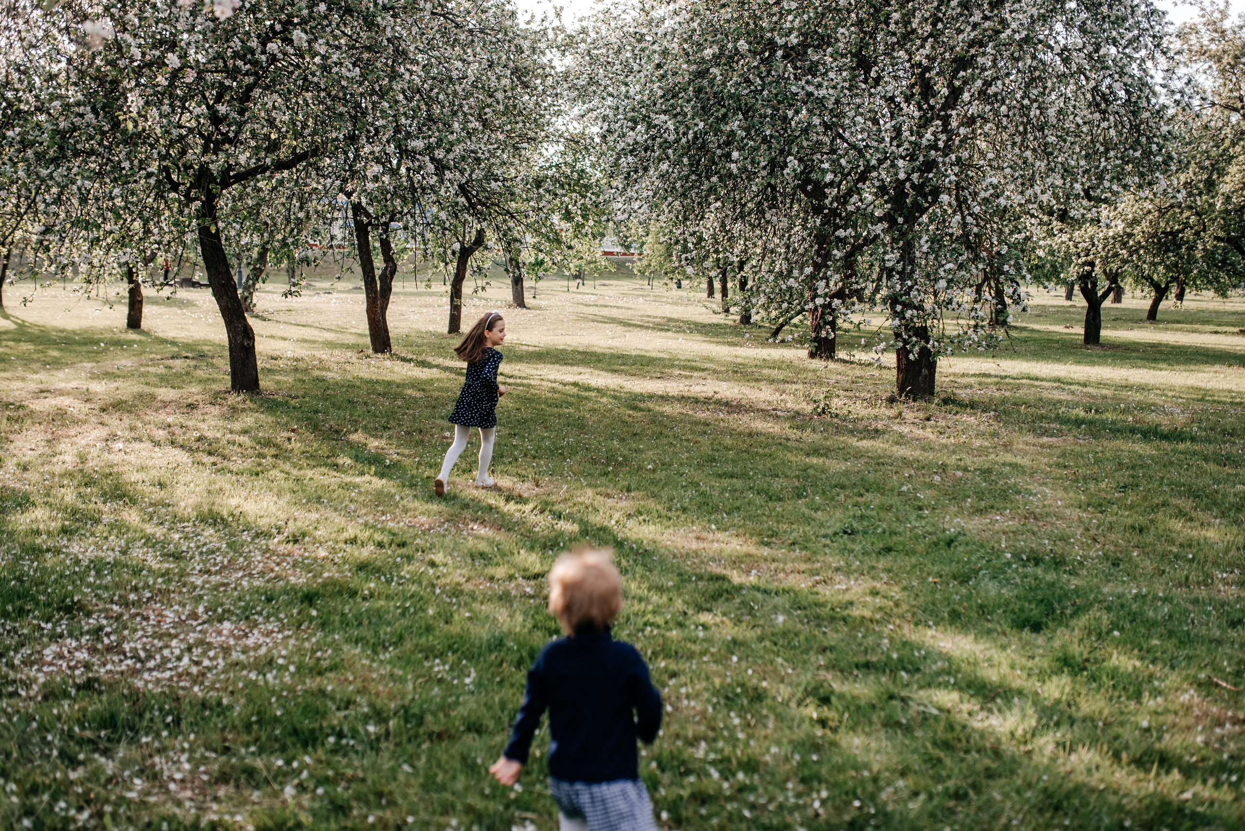 Вика+Саша+Соня+Алиса. Костюшко Кристина — семейный и свадебный фотограф в Минске