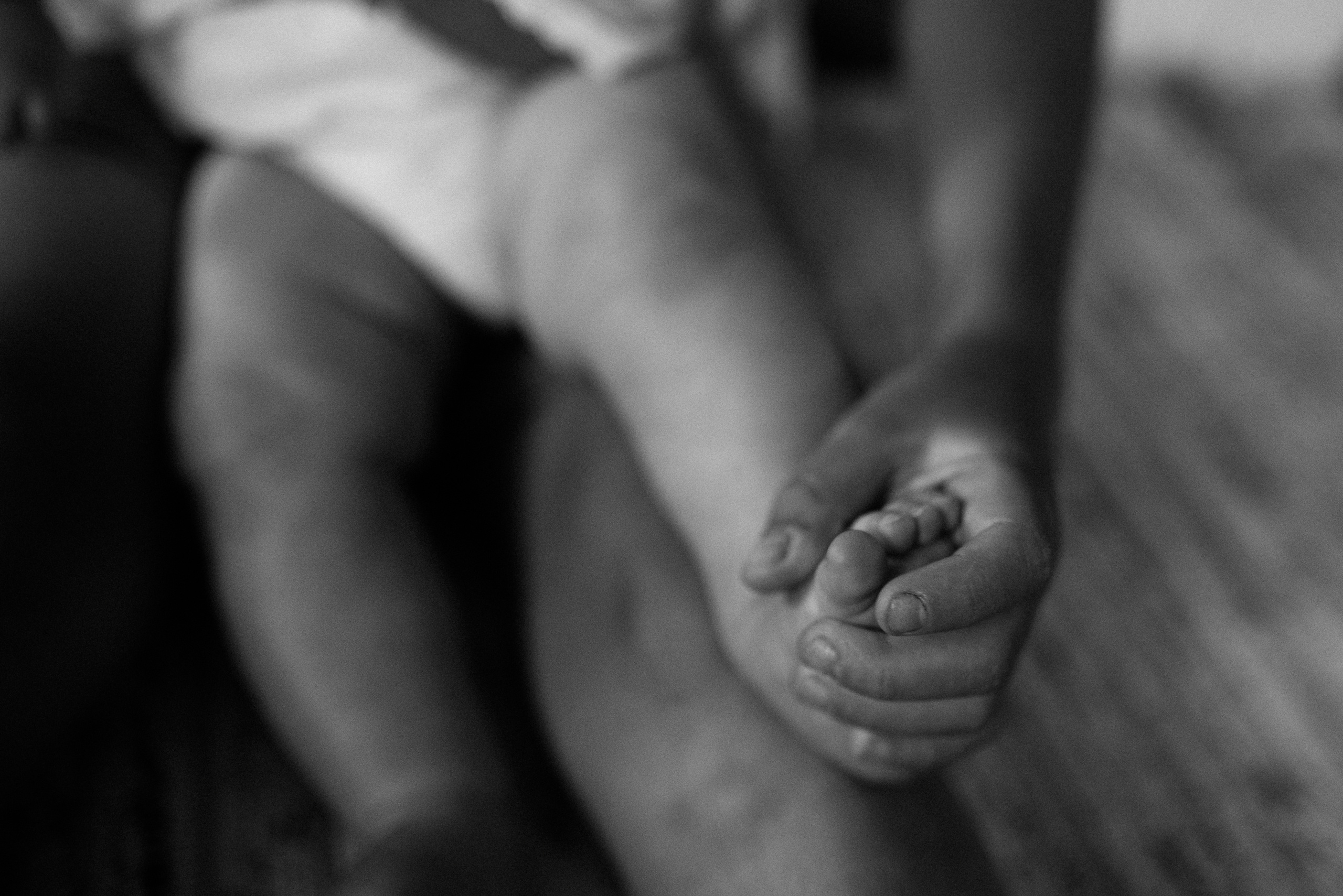 Настя+Витя+Артур+Катя+Степан+Нина+Тоби. Костюшко Кристина — семейный и свадебный фотограф в Минске