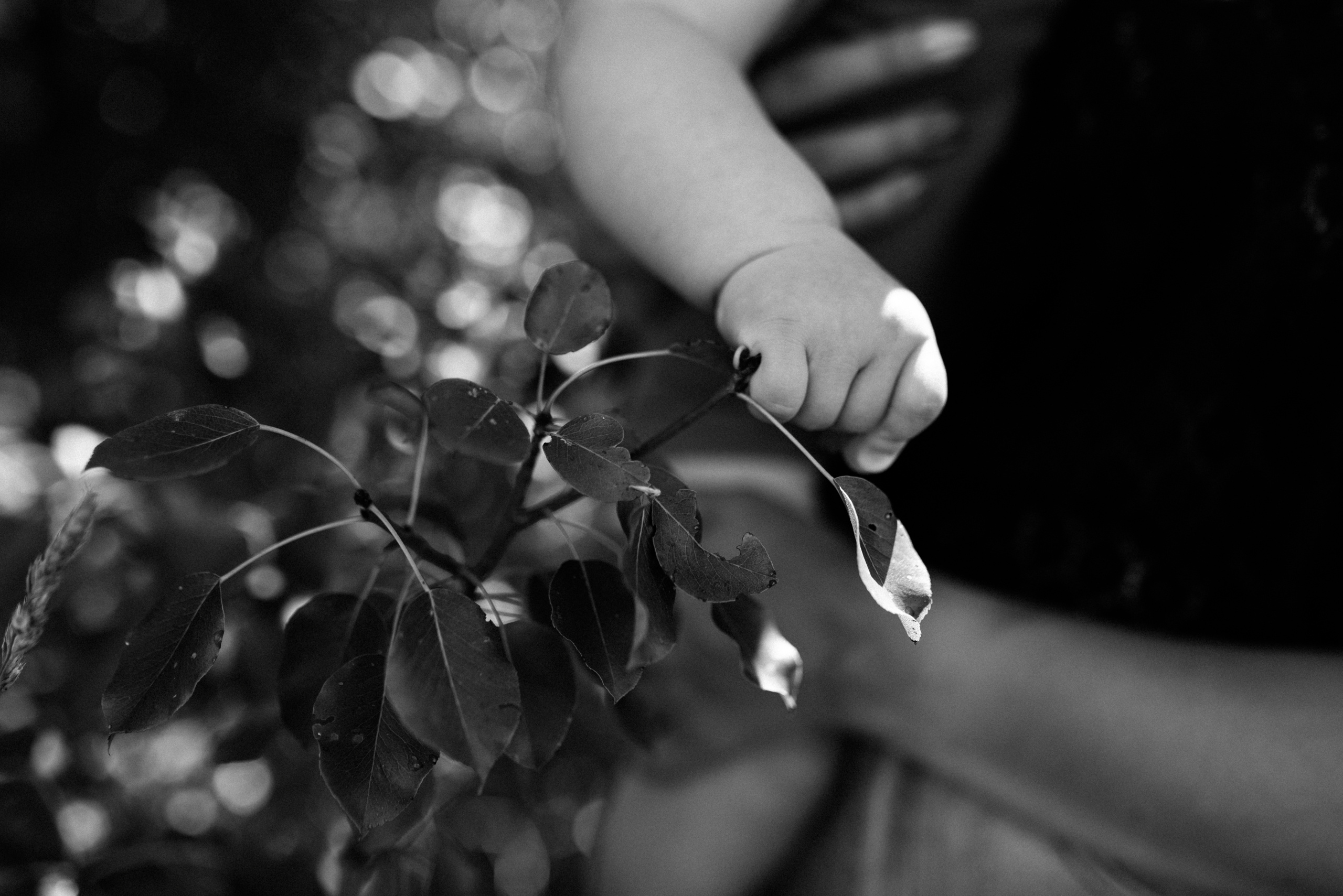 Наташа+Миша. Костюшко Кристина — семейный и свадебный фотограф в Минске