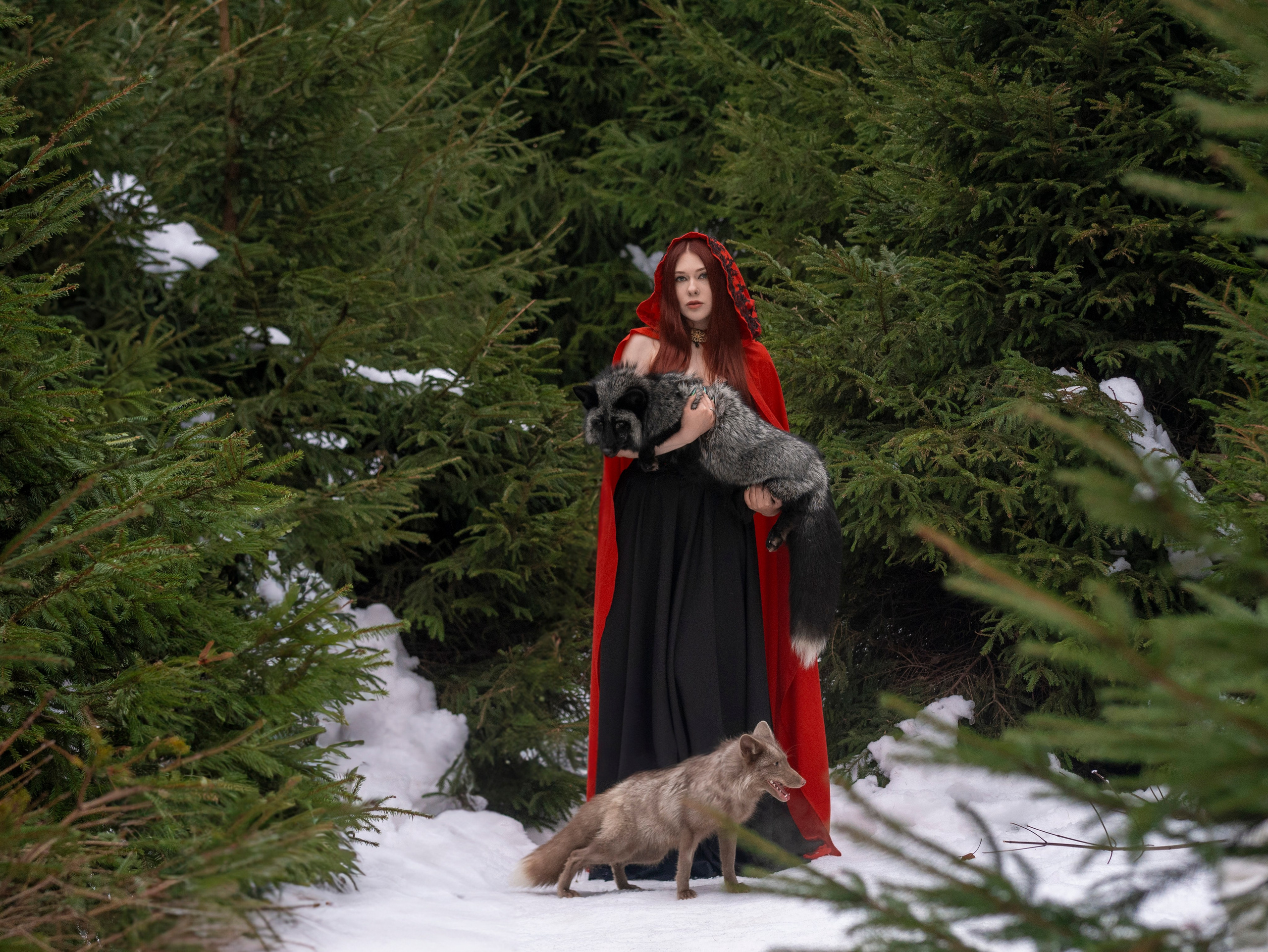 Лина и лис Мигель. Арт фотограф, женский фотограф Москва