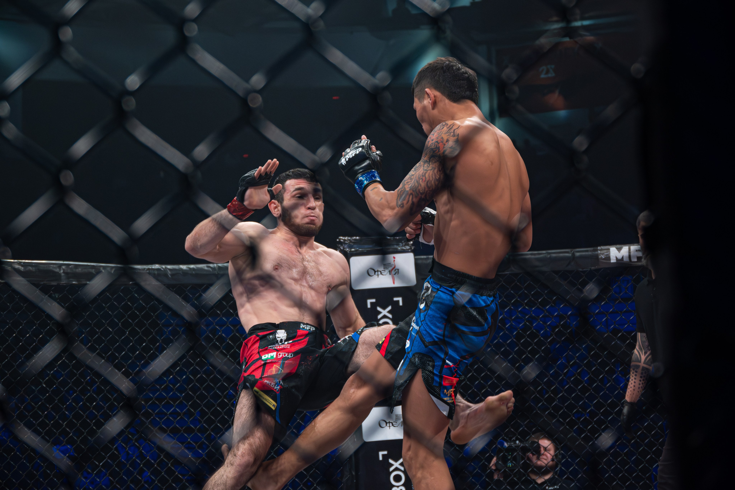 ПАНКРАТИОН. Репортажный фотограф Владислав Остерман