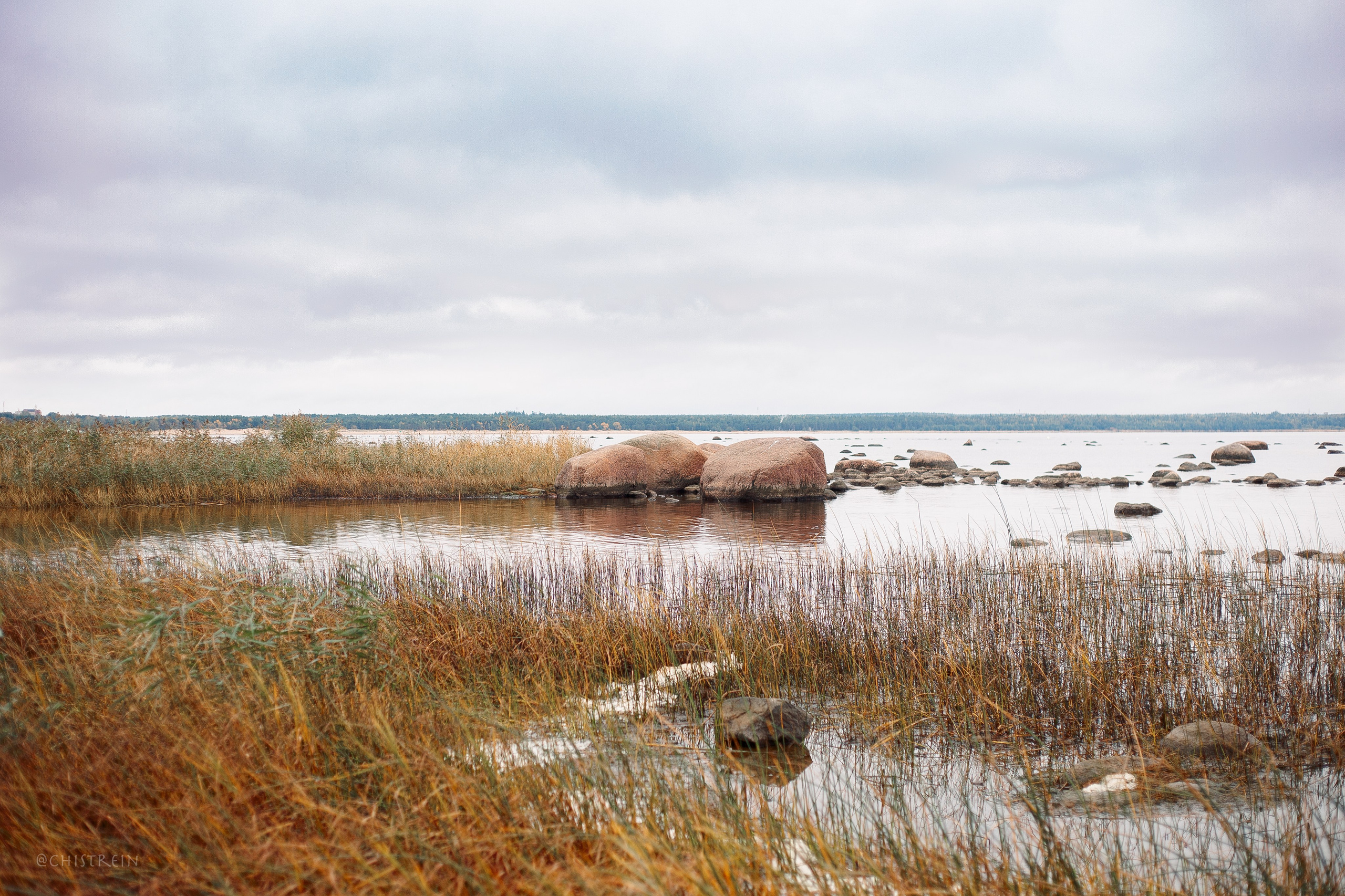 Дальний пирс. Фотограф-анималист Наталия Чистюхина в г. Сосновый Бор и ЛО