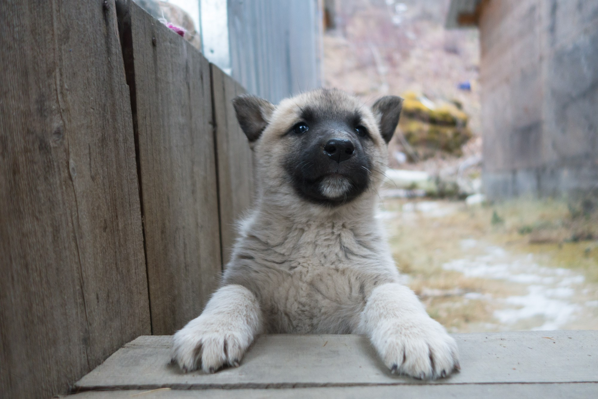 Якутия. Фотограф Алексей Скоробогатько