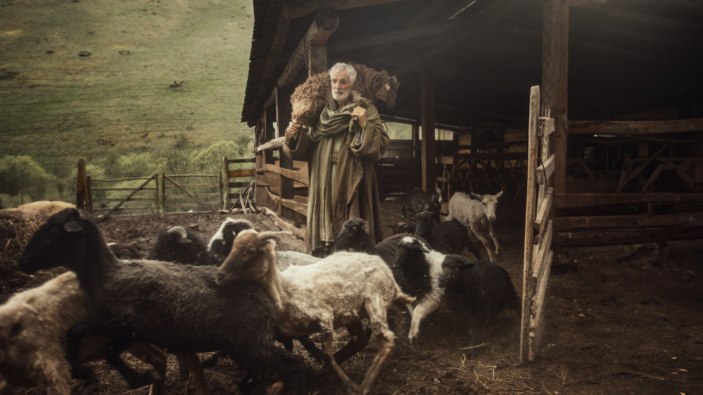Пастырь добрый. Фотограф и режиссер Сергей Спирин. Москва