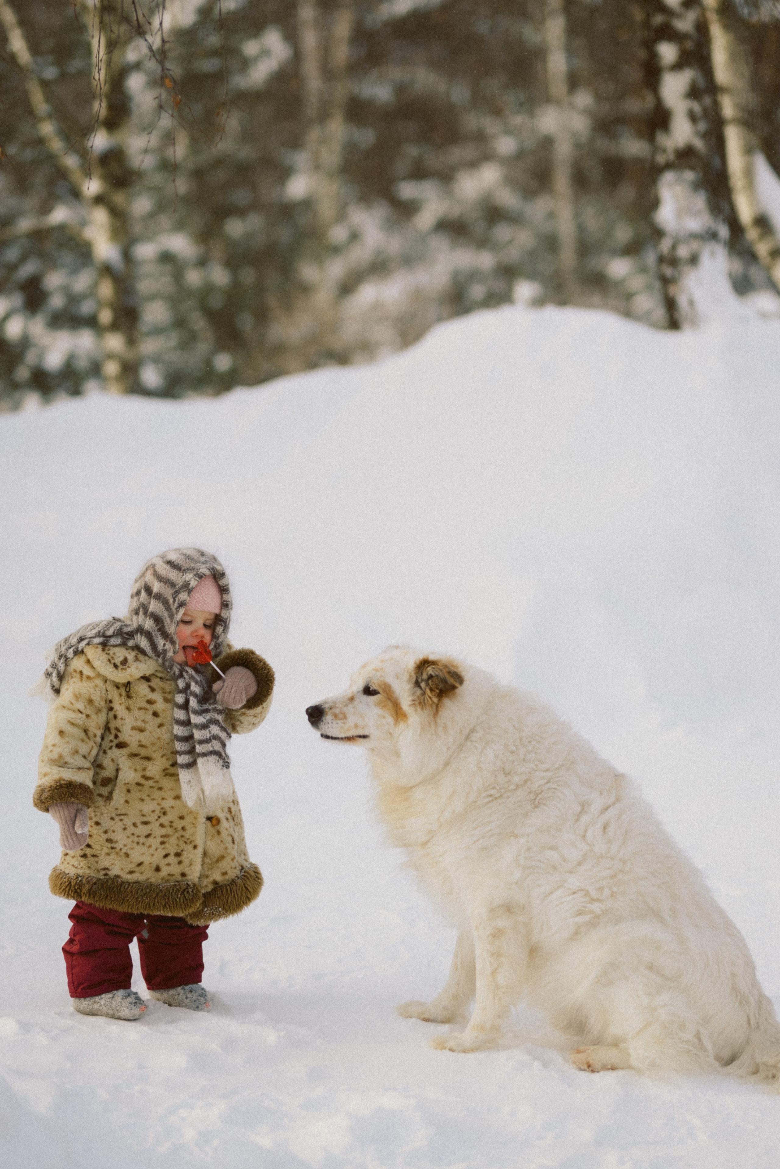 Семейный и детский фотограф в Щелково Алена Дробот