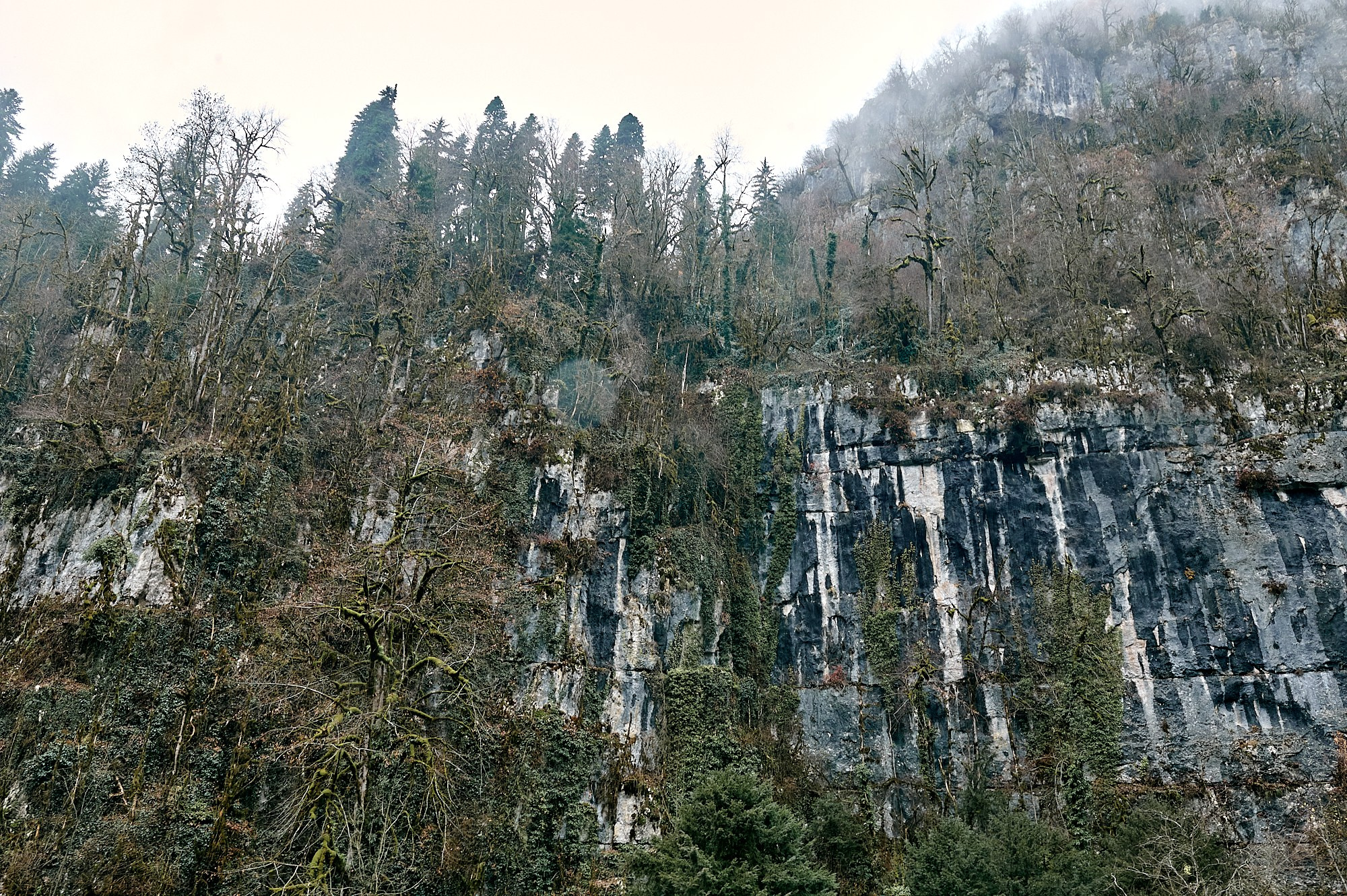 Озеро Рица, Абхазия. Декабрь 2024. Фотографии отовсюду и обо всем