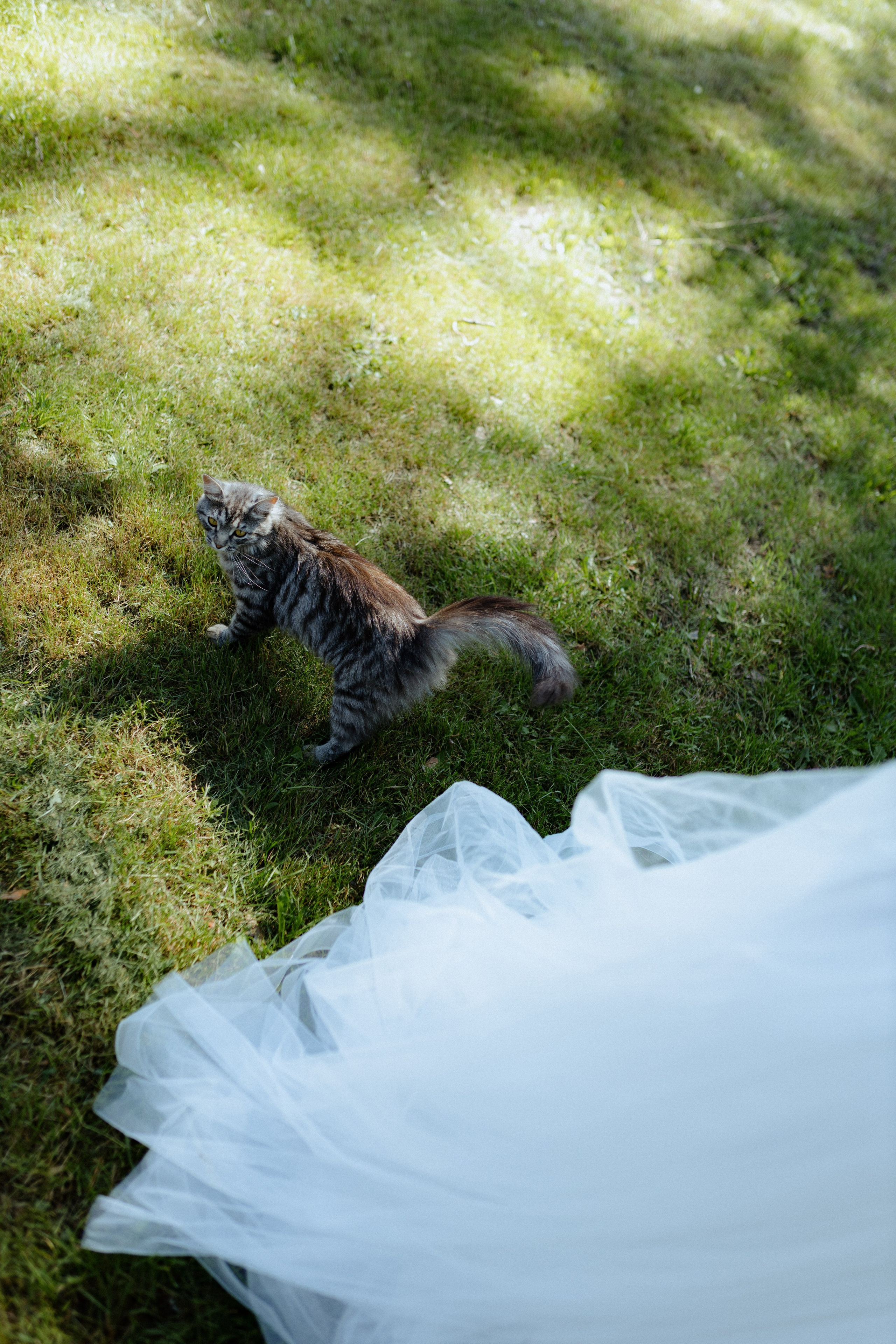 Мария и Дмитрий