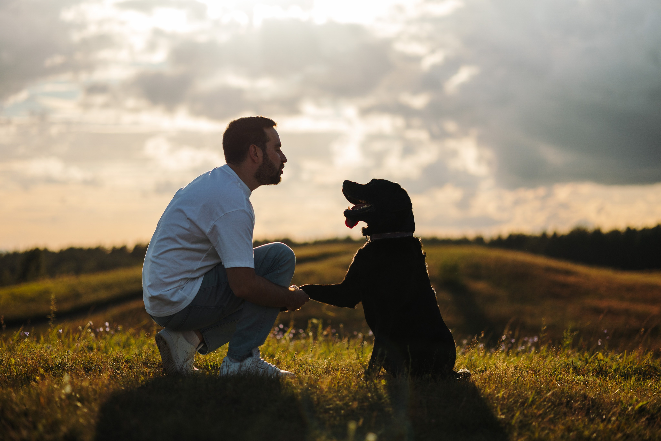 Бомбей и его семья. Фотограф — Анималист | Санкт-Петербург
