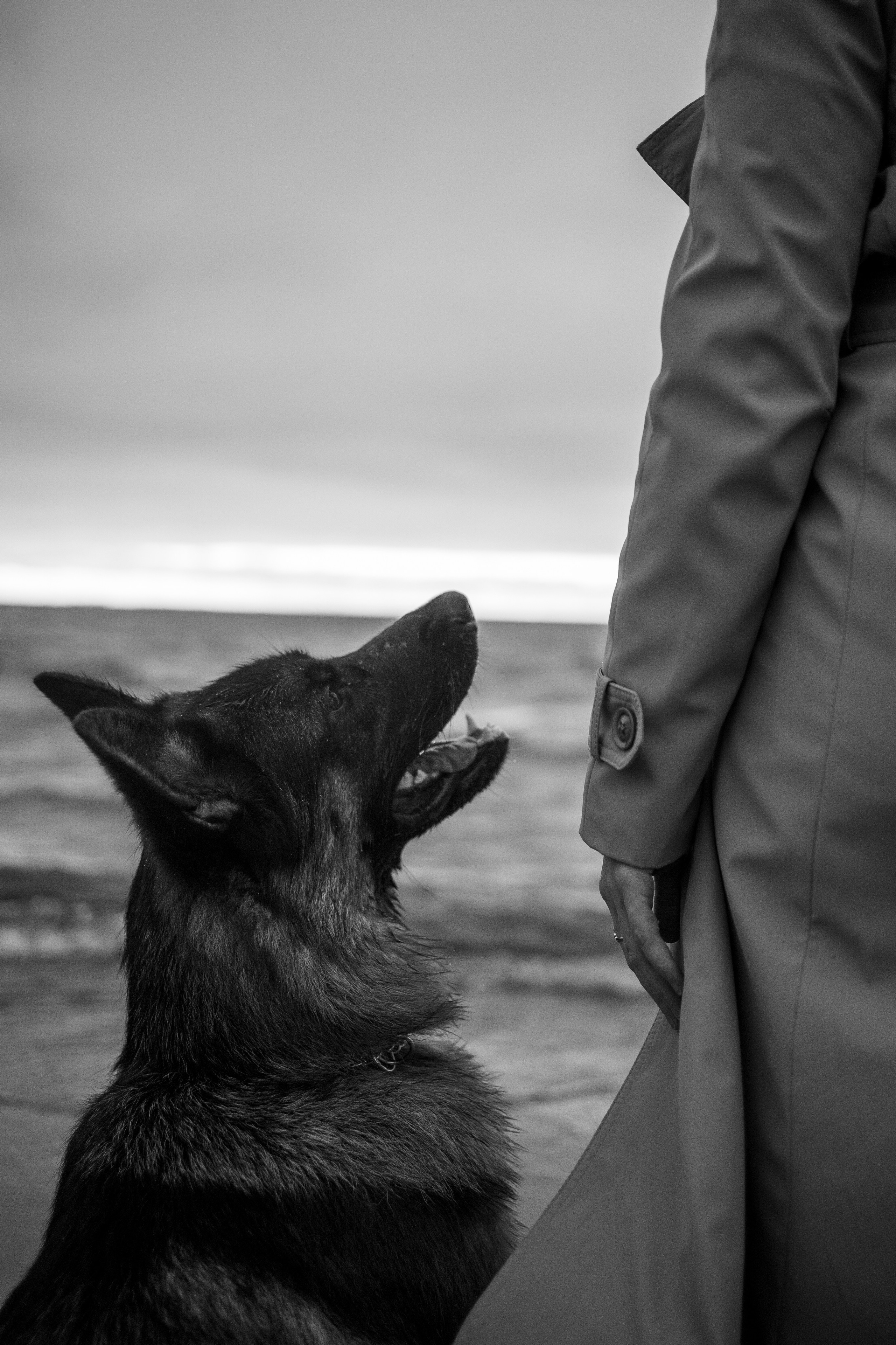 Катя и Агат. Фотограф — Анималист | Санкт-Петербург