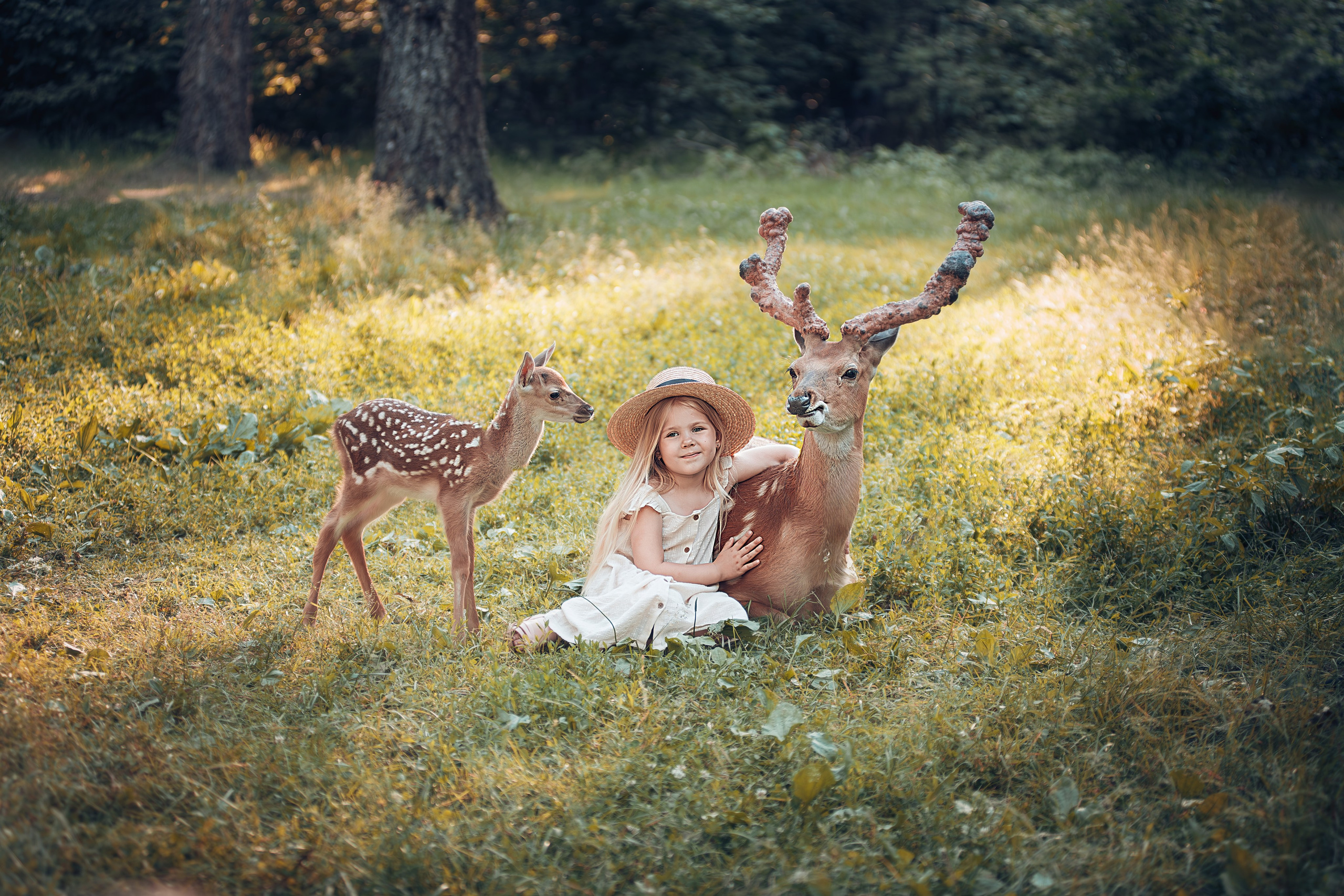 Фотосессия с оленями