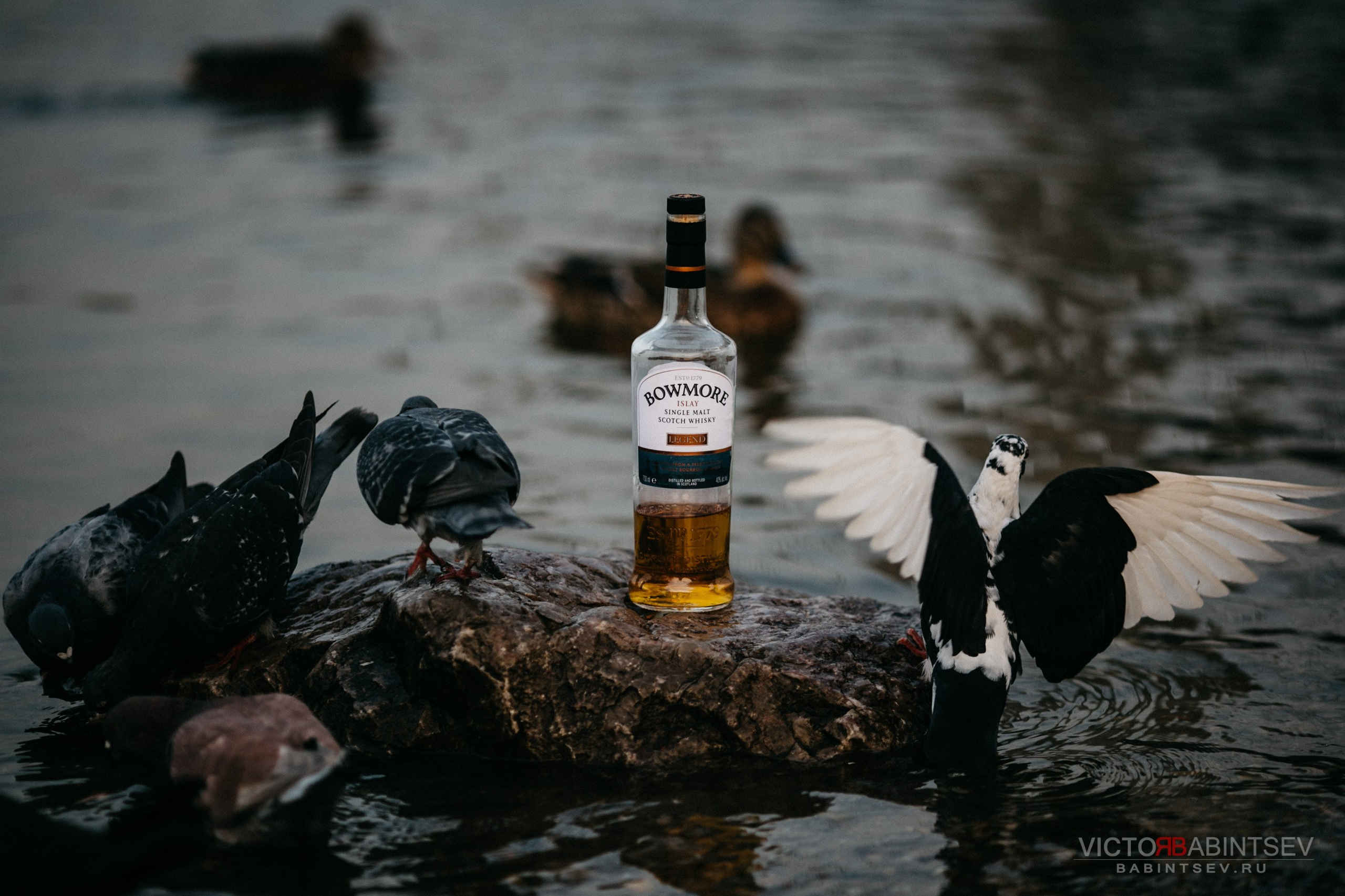 Whisky. Семейный и репортажной фотограф в Красноярске и Москве Виктор Бабинцев