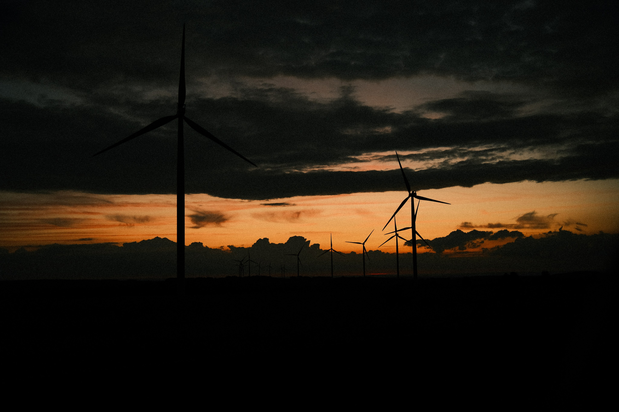 Green energy. Портретный фотограф