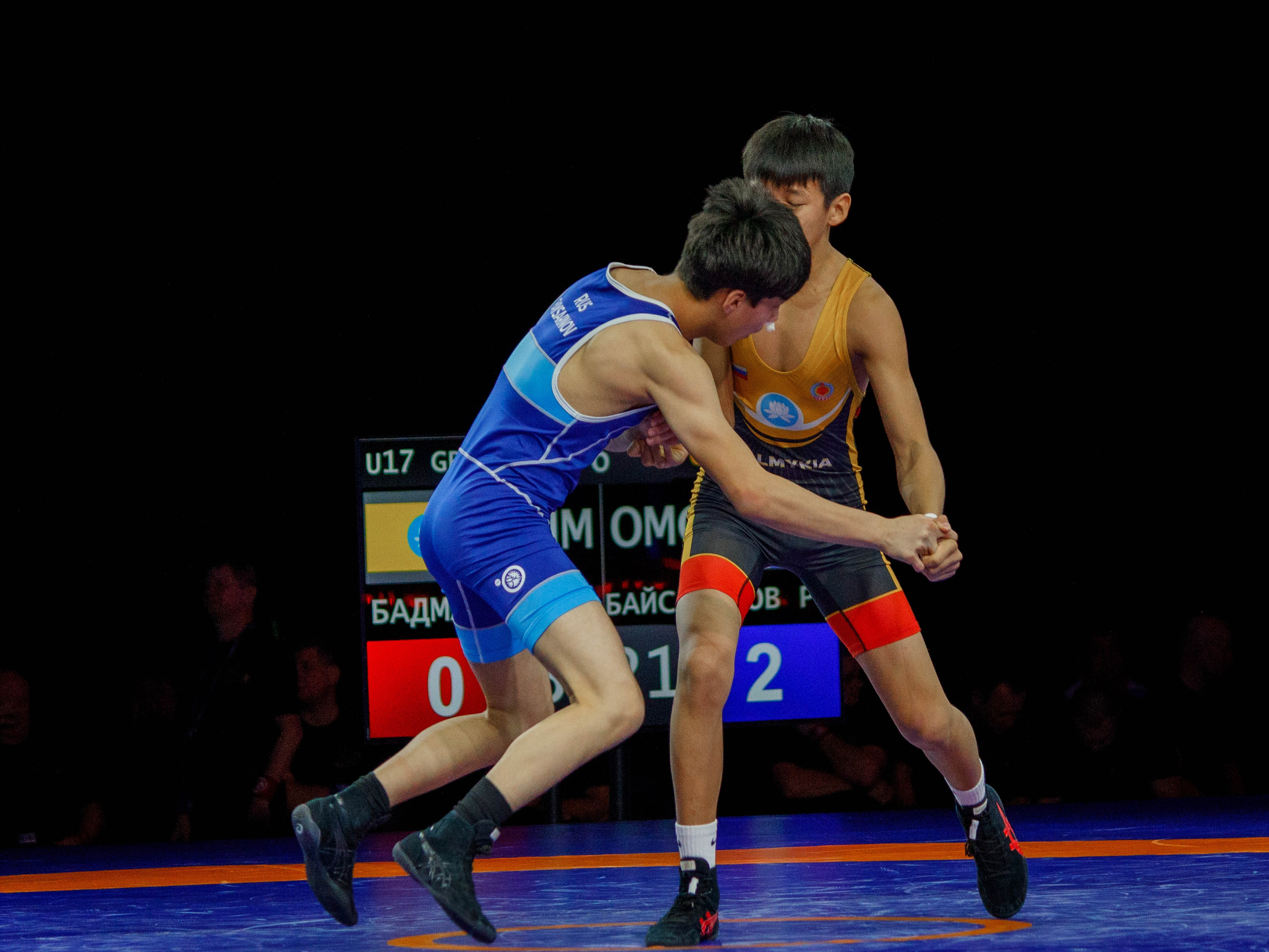 Международный чемпионат по греко-римской борьбе «Сила Традиций». Репортажный фотограф в Новосибирске Алена Помазунова