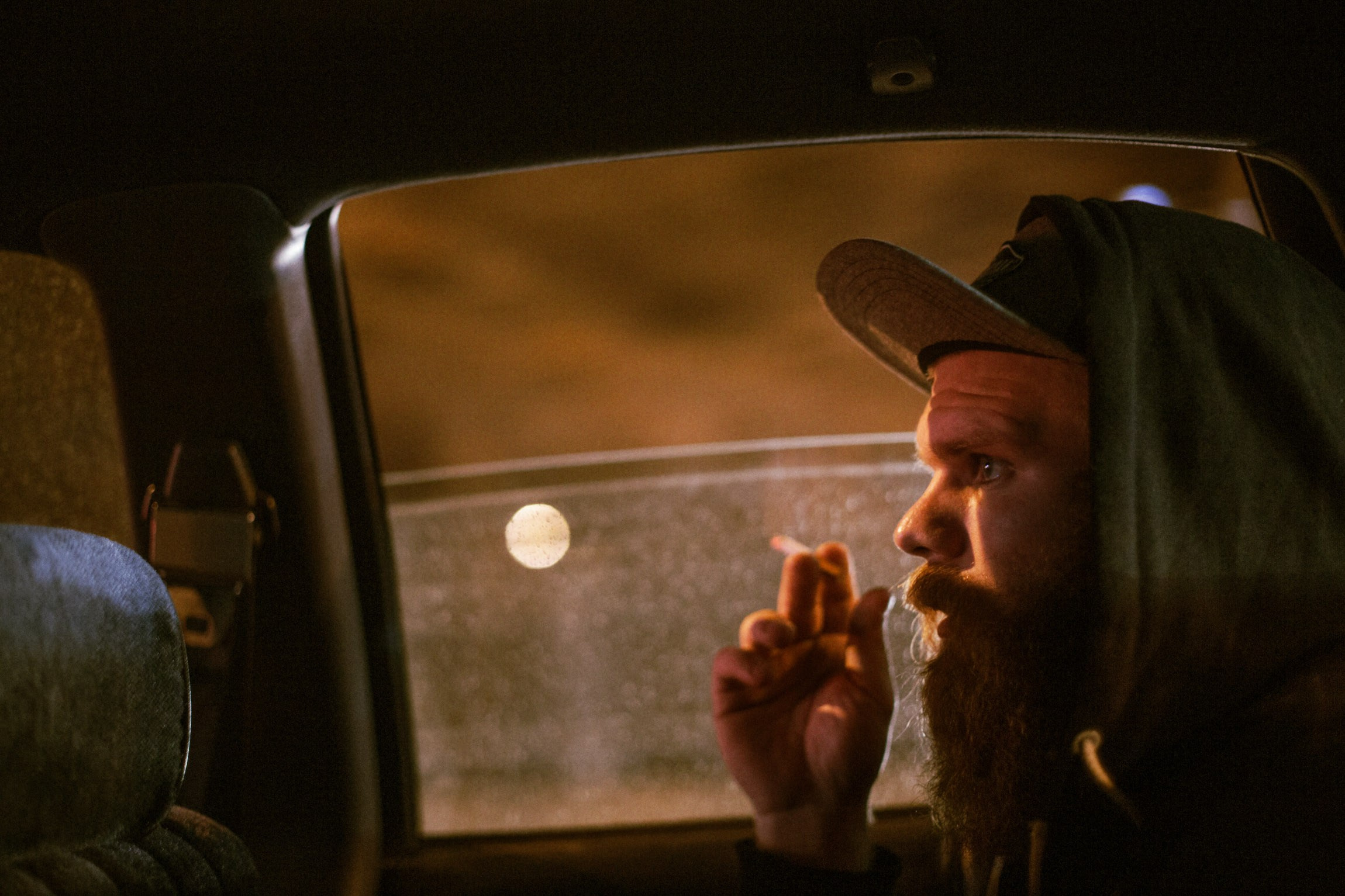 Lifestyle. Bivol images