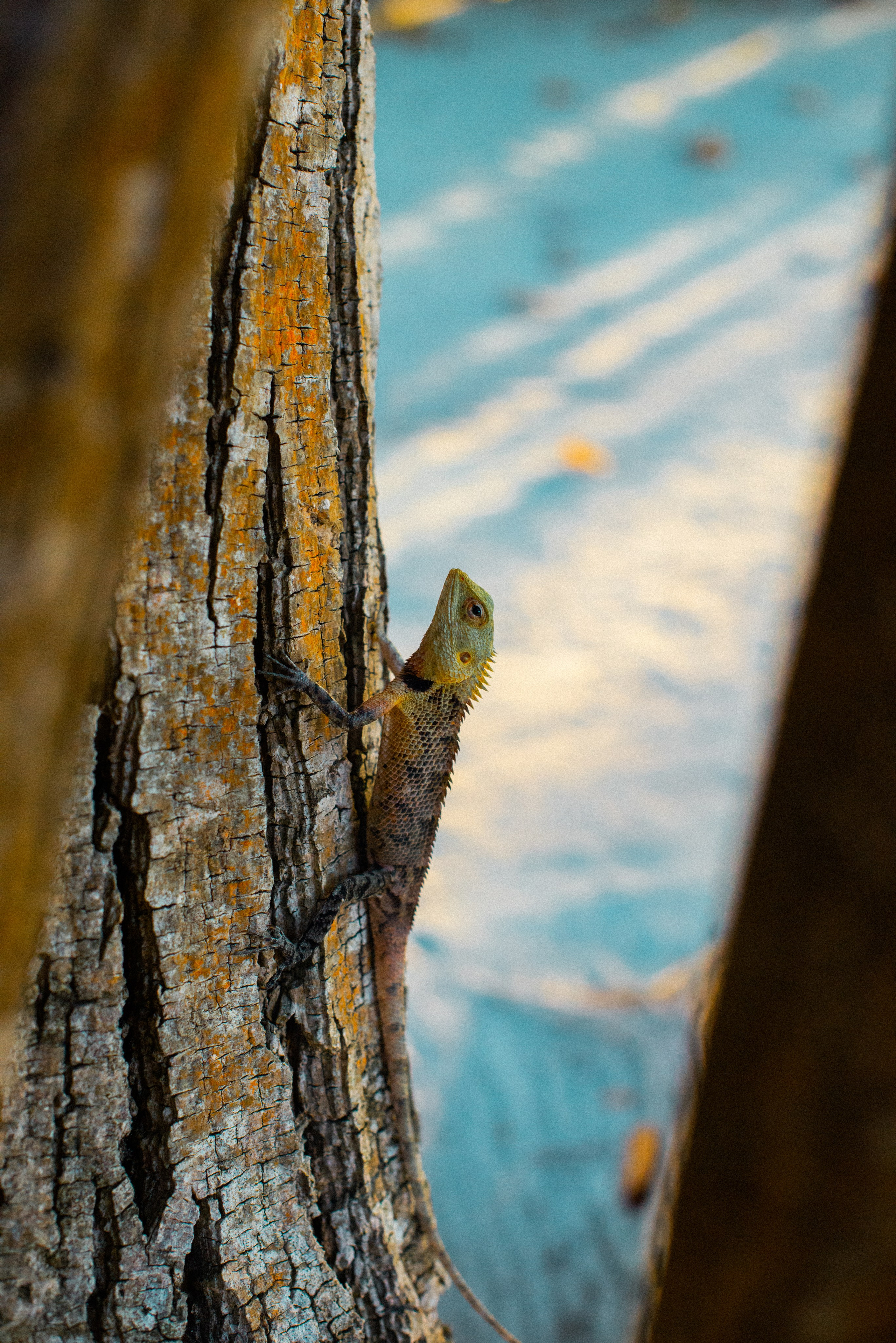 Мальдивы. Фотограф Алиса Аспер