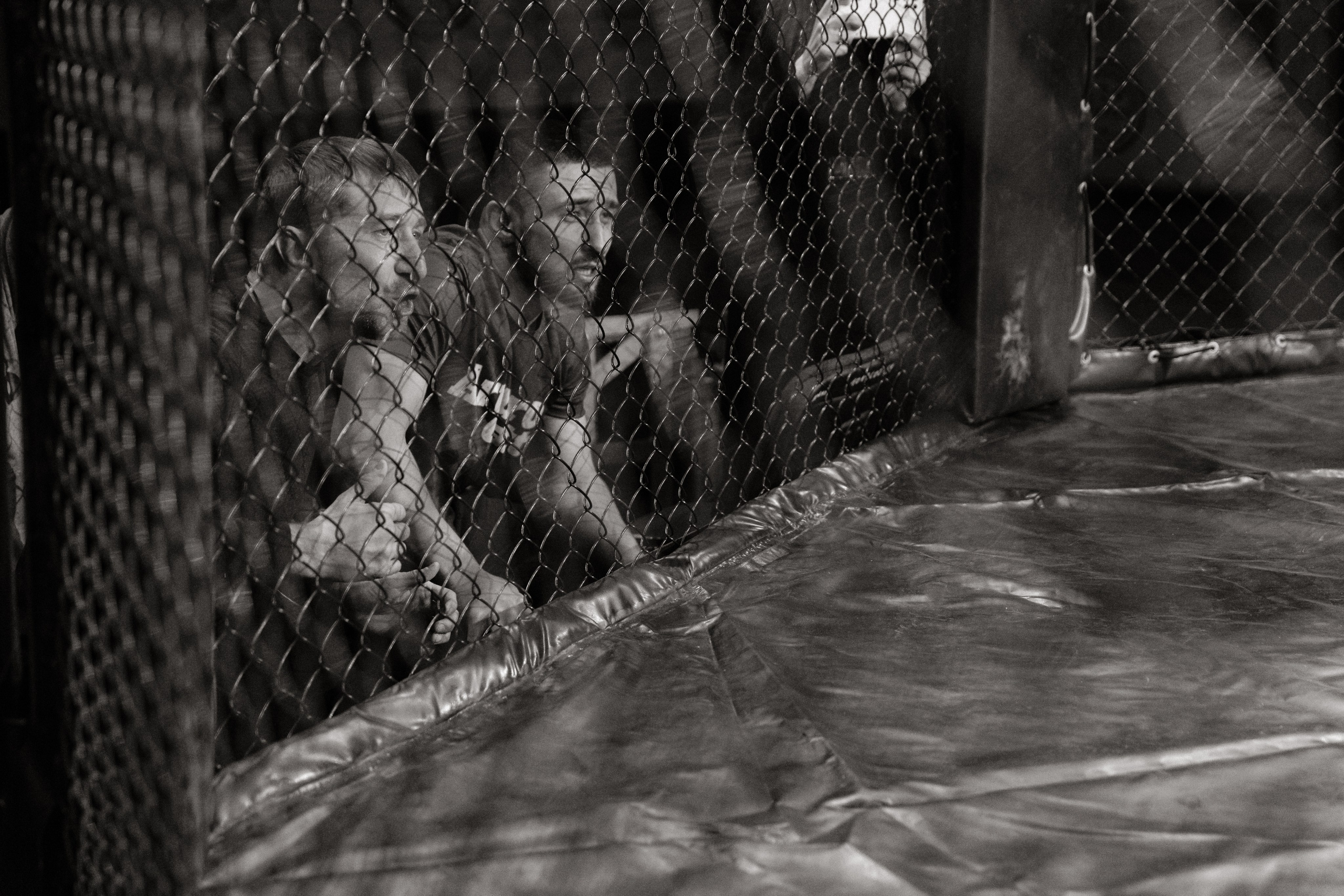 Турнир по ММА «Освобождение» 2023 г. Истра. Свадебный фотограф Фадеева Алёна