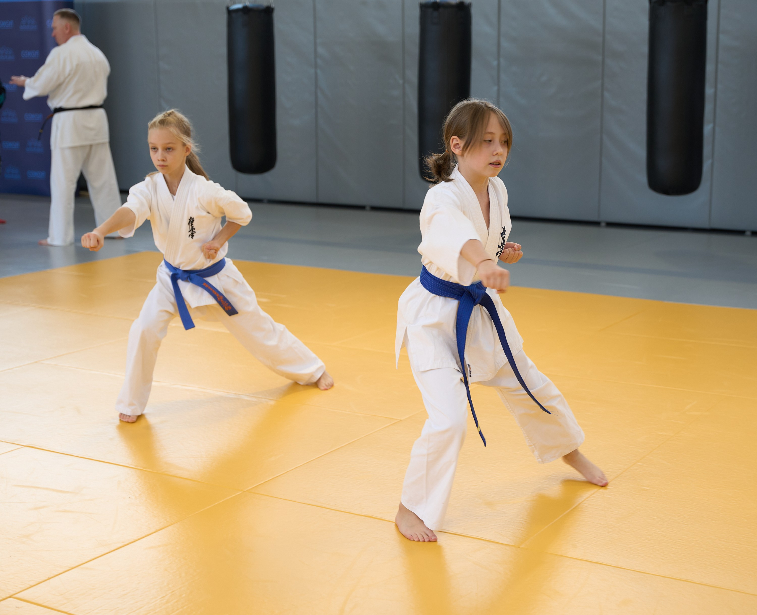 Открытие центров спортивных единоборств «Сокол» Красноярск/Дивногорск. Александр Сазонов Красноярск