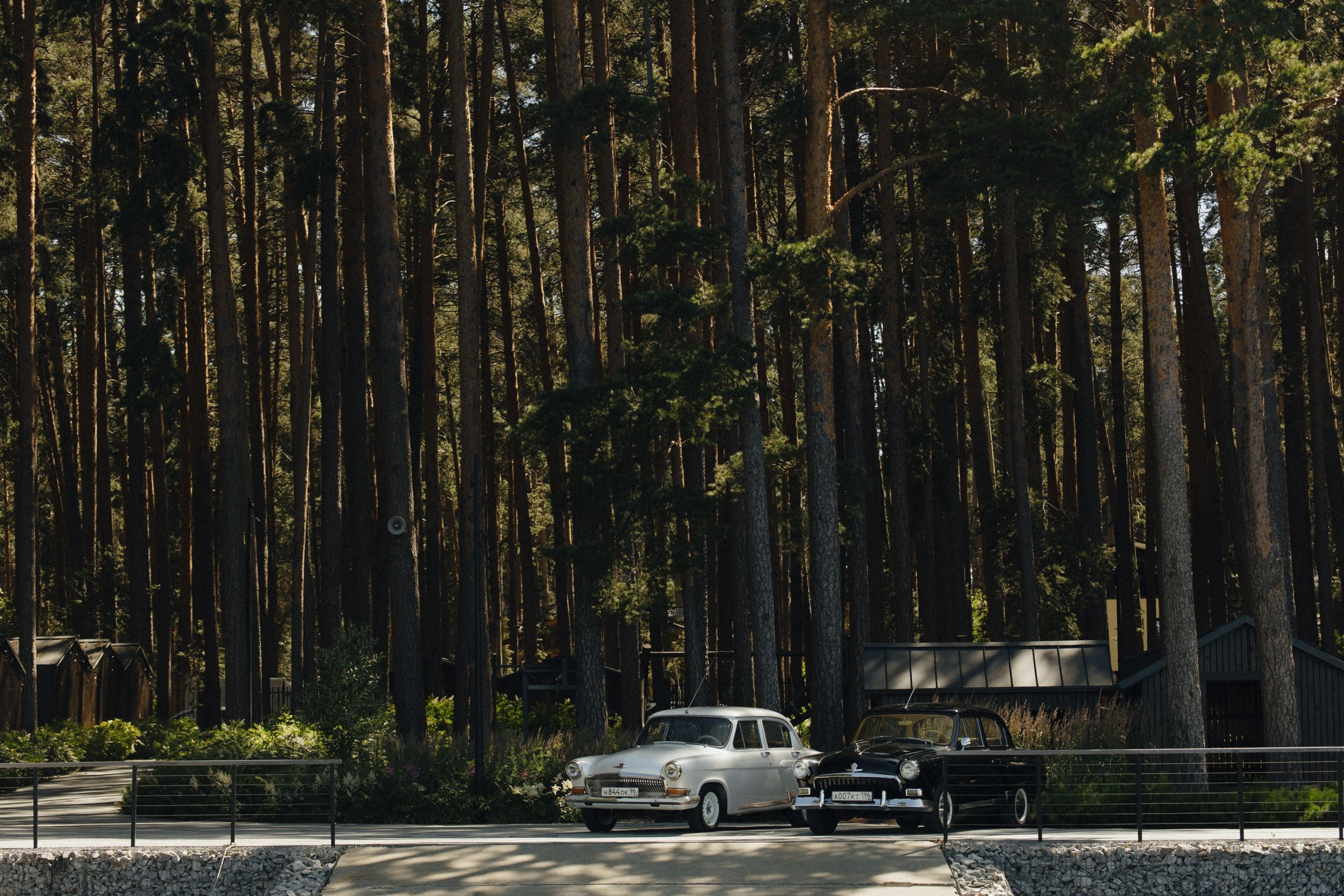 19.07.25 Сергей и Екатерина. Свадебный организатор Екатеринбург