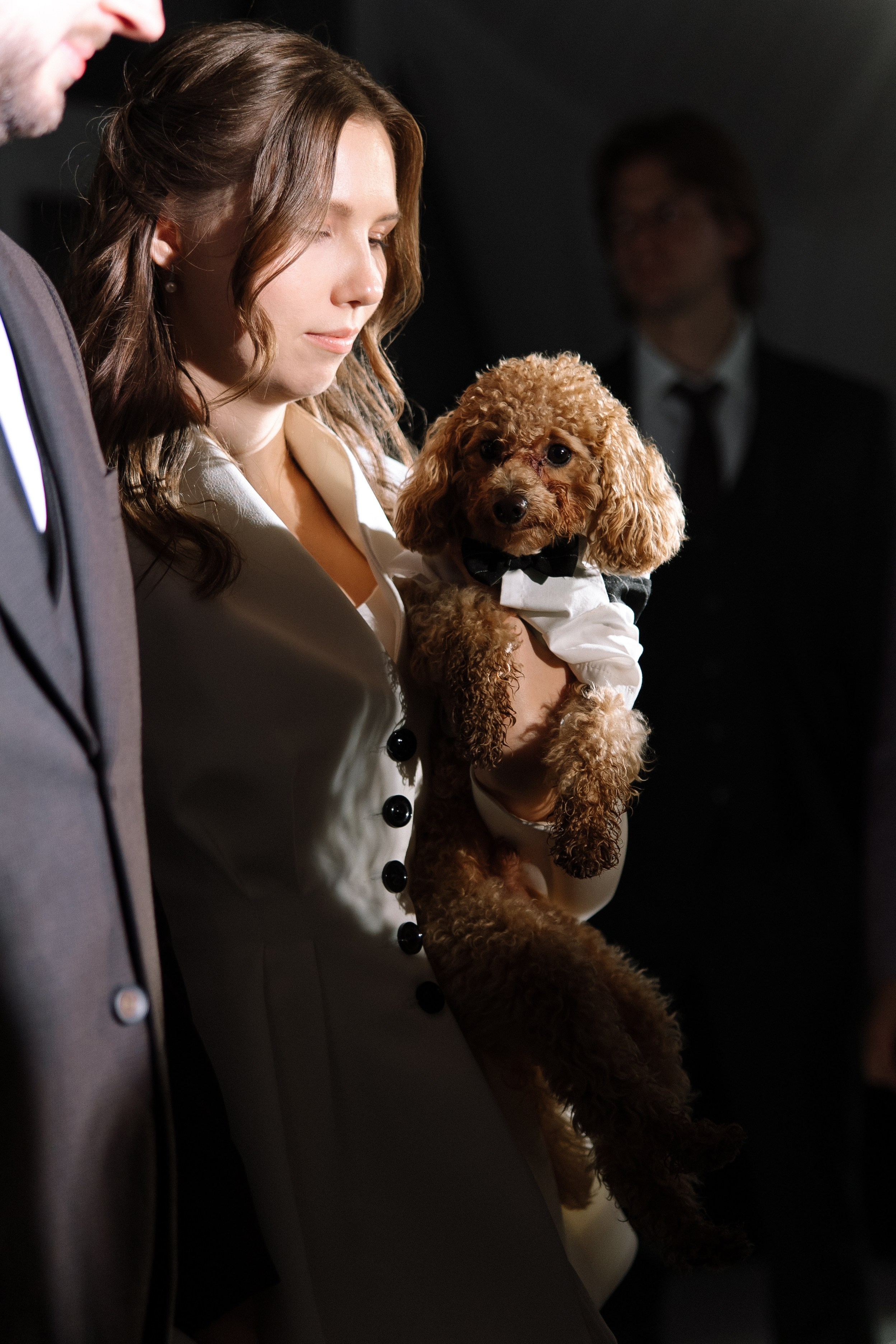 Фото. ПроСвет — Свет на свадьбу