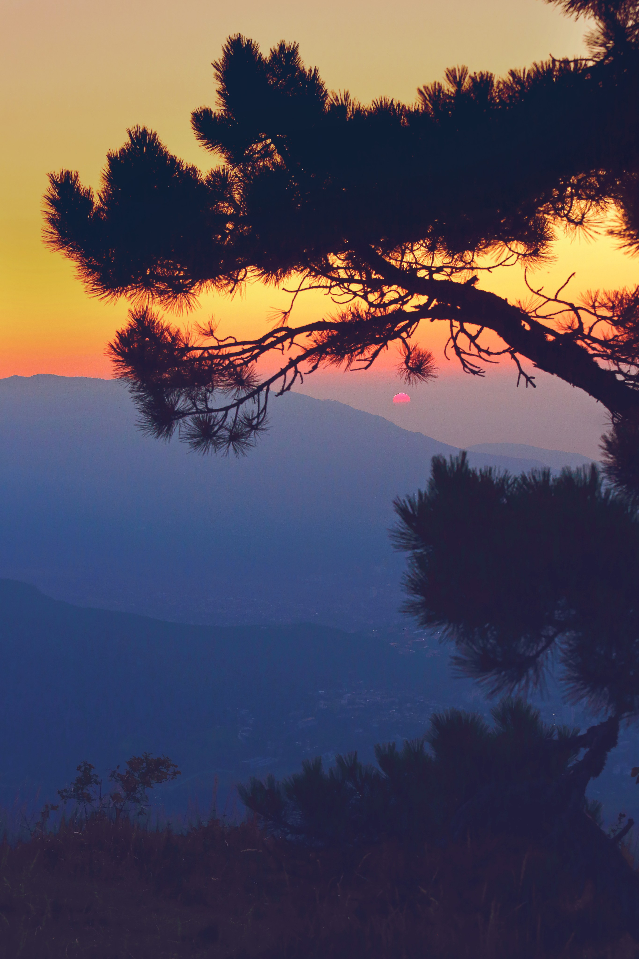 Крым. Свадебный и репортажный фотограф в Ярославле и Санкт-Петербурге Роман Микрюков