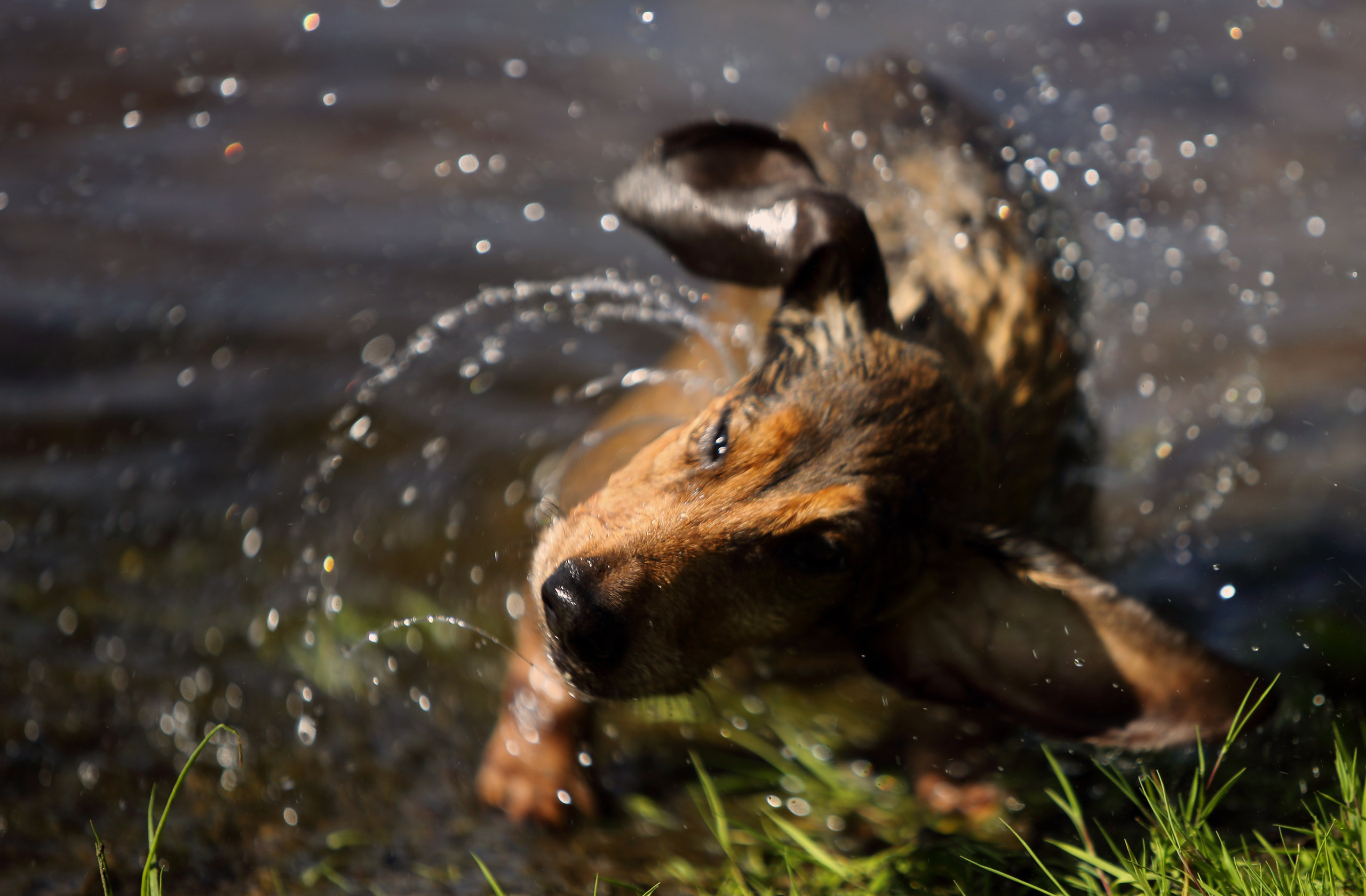 Жанровый портрет. Фотограф Лагутин Анатолий