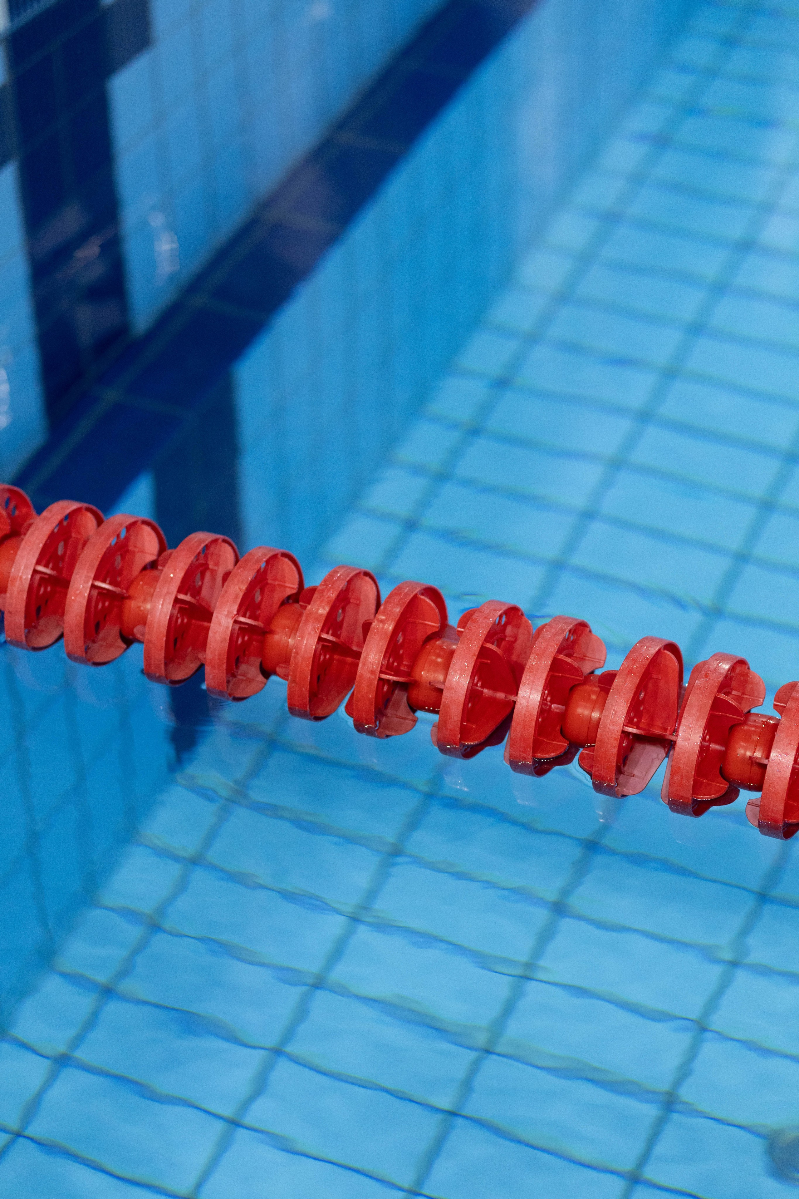 Гонка ракет. Александра Мельниченко/ Бегающий фотограф