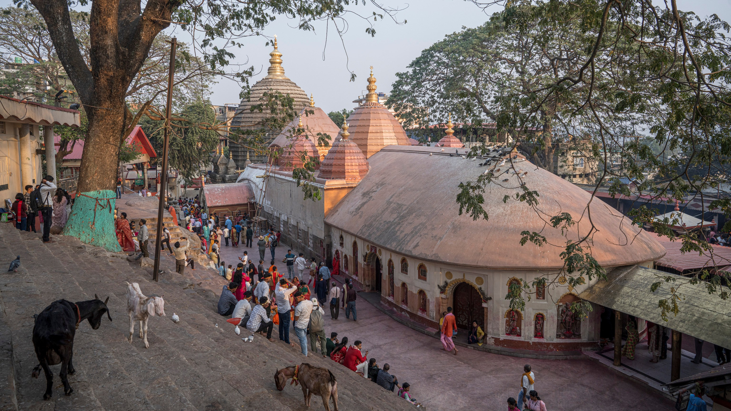 India travel. Фотограф Сергей Танков