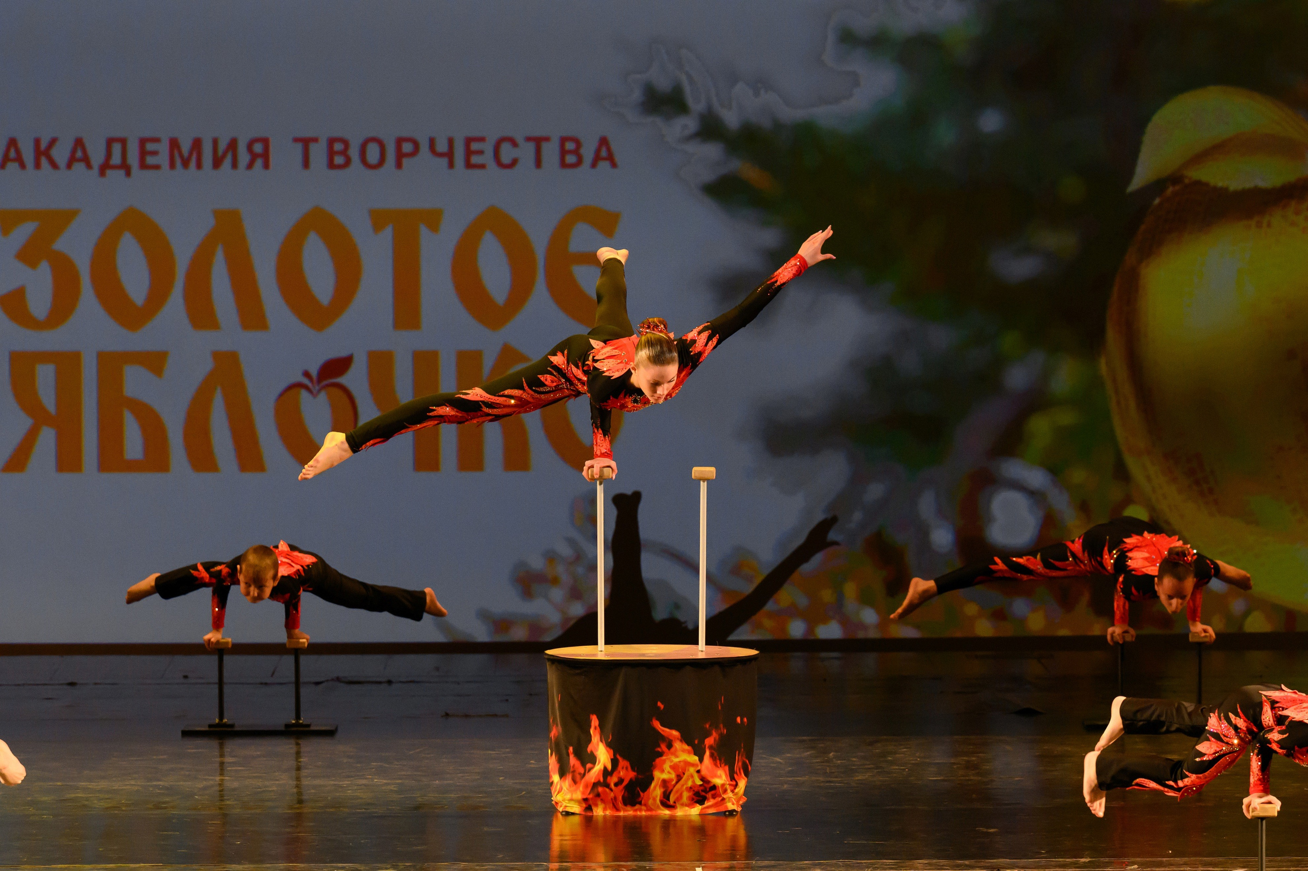 4 декабря, блок 1, награда, г. Санкт-Петербург. Золотое яблочко