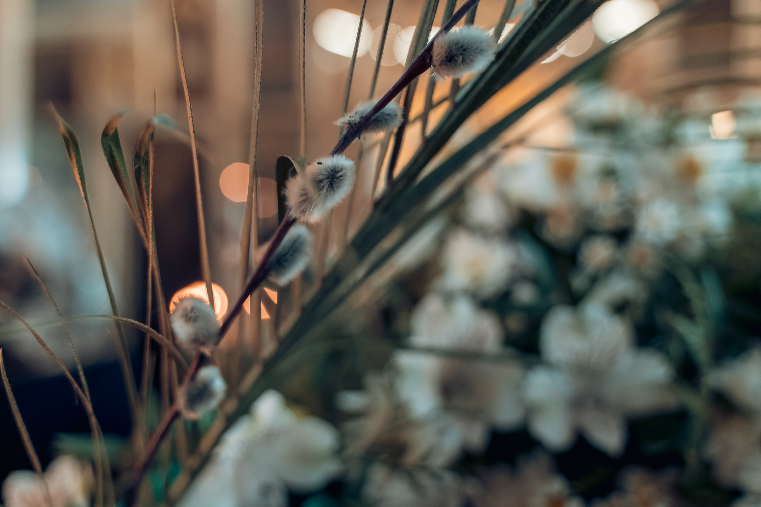 Вход Господень в Иерусалим в храме Димитрия Солунского г. Тула. Церковный фотограф Севастополь