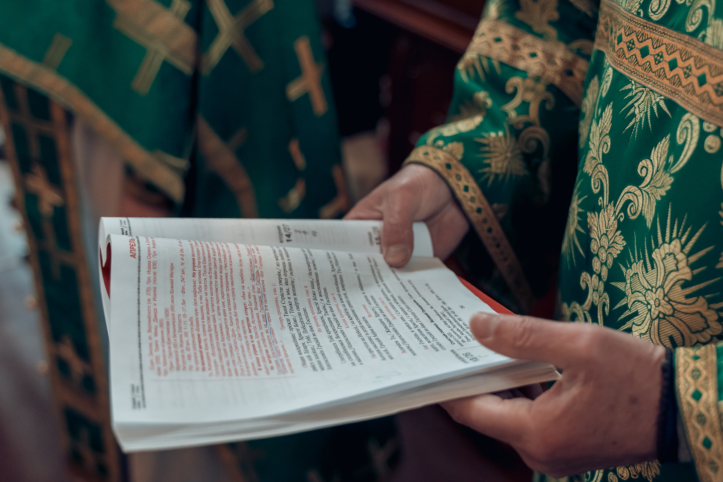 Вход Господень в Иерусалим в храме Димитрия Солунского г. Тула. Церковный фотограф Севастополь