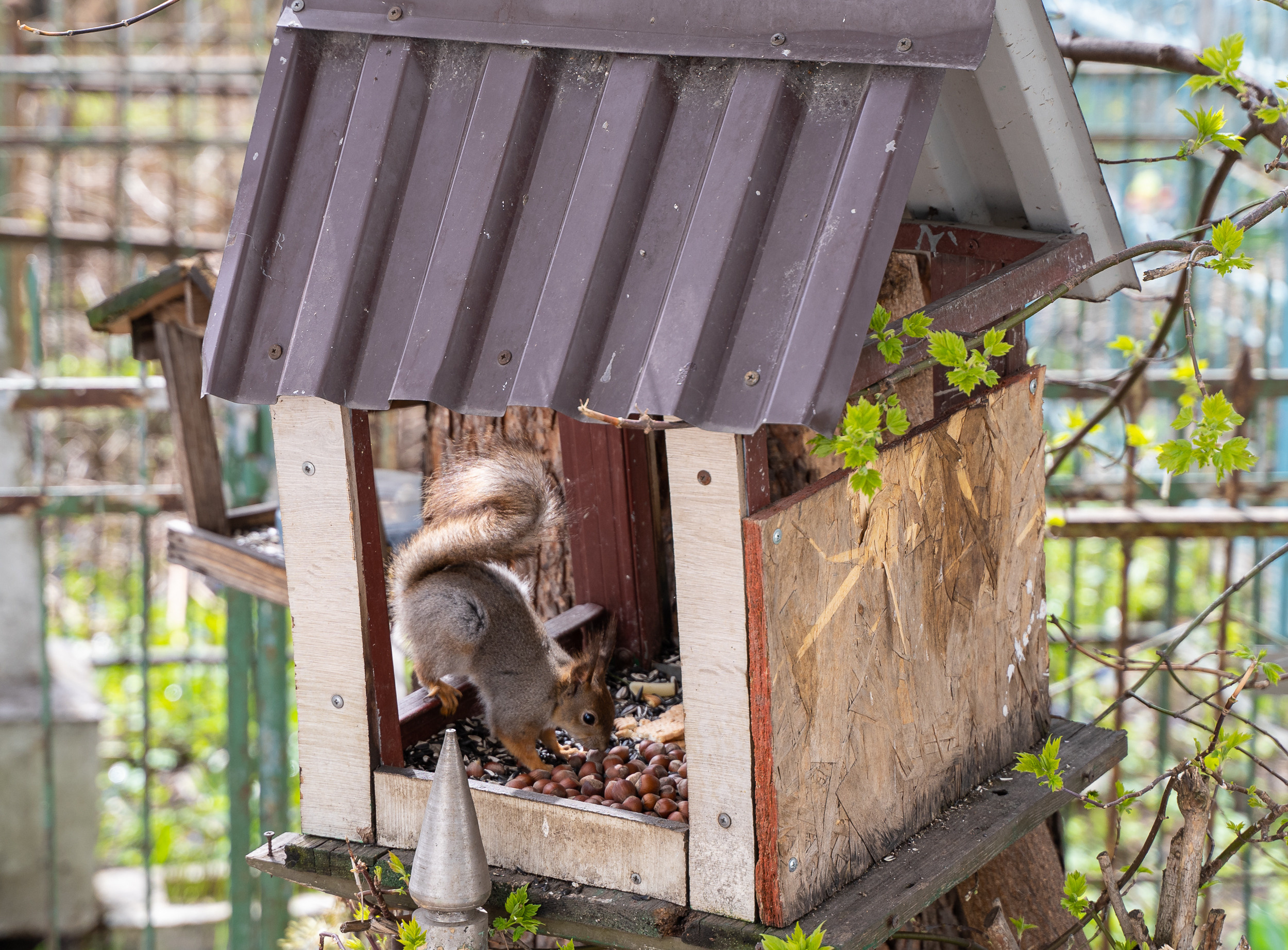 Вход Господень в Иерусалим в храме Димитрия Солунского г. Тула. Церковный фотограф Севастополь