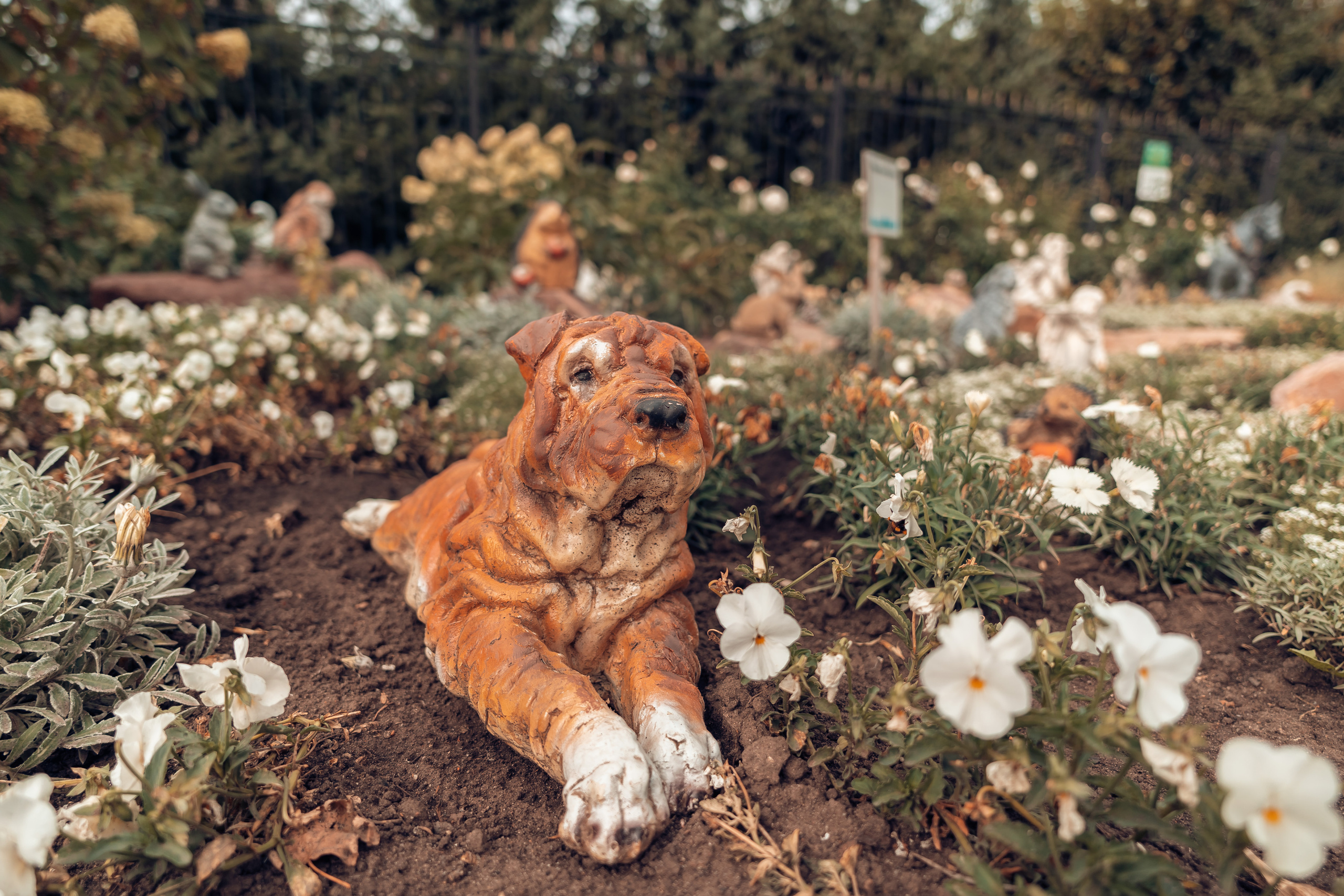 День памяти Преподобного Серафима Саровского в Дивеевской обители. Церковный фотограф Севастополь