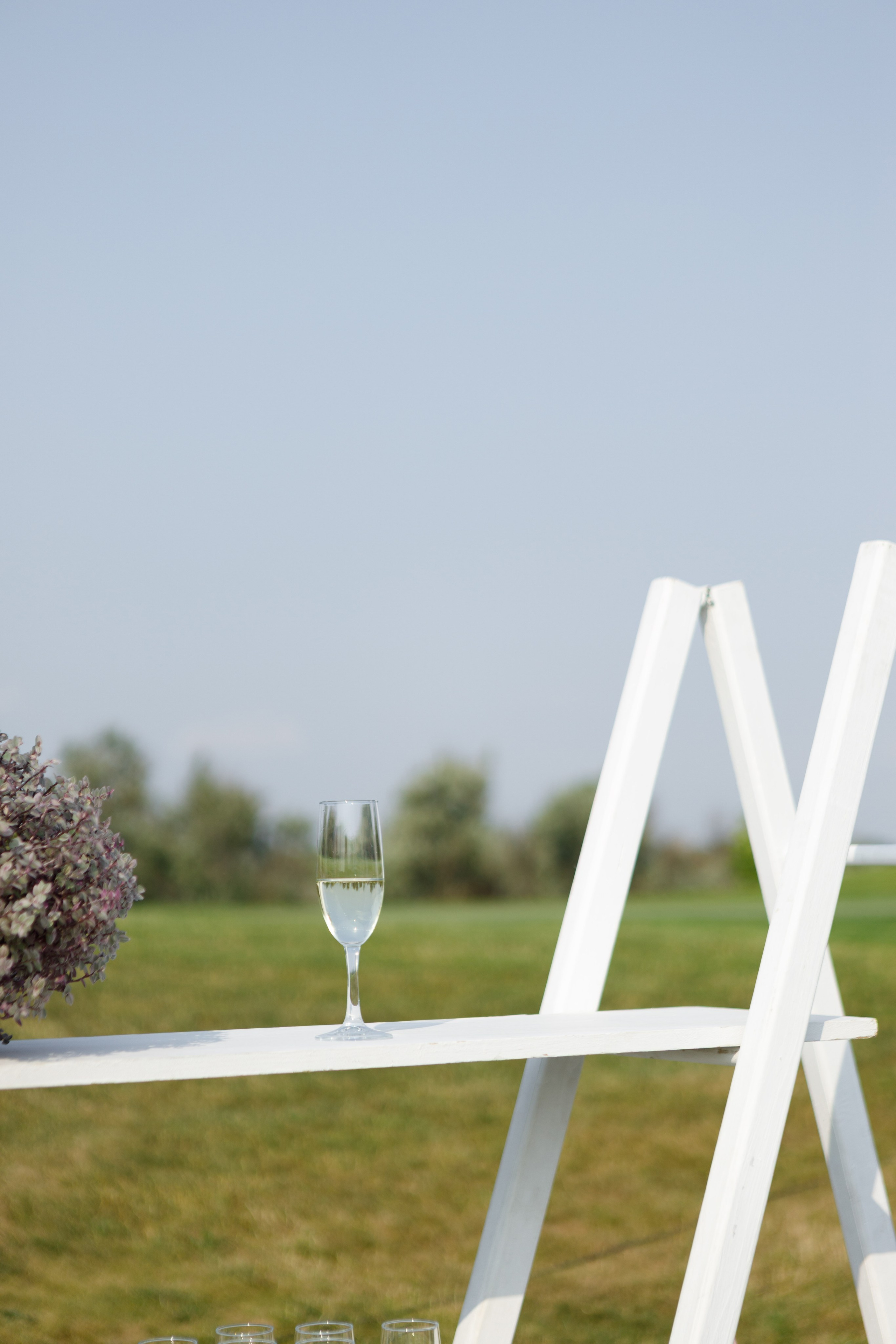 Свадебный фотограф в Ростове-на-Дону — Свадьба Игоря и Алены в гольф-клубе «Дон». Свадебный фотограф Ростов на Дону / Таганрог — Усачева Анастасия