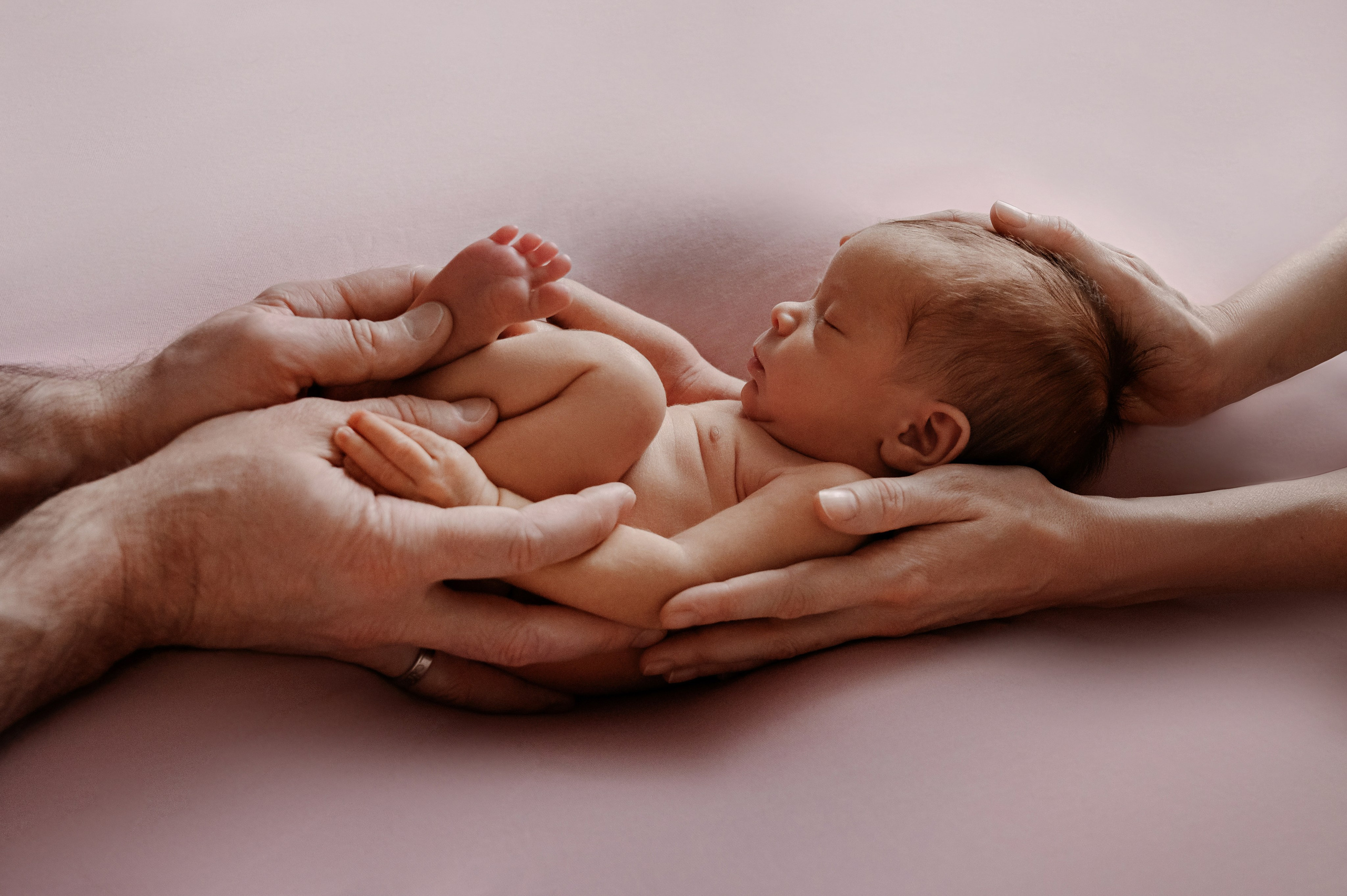 Newborn girl. Фотограф новорожденных малышей в Санкт-Петербурге