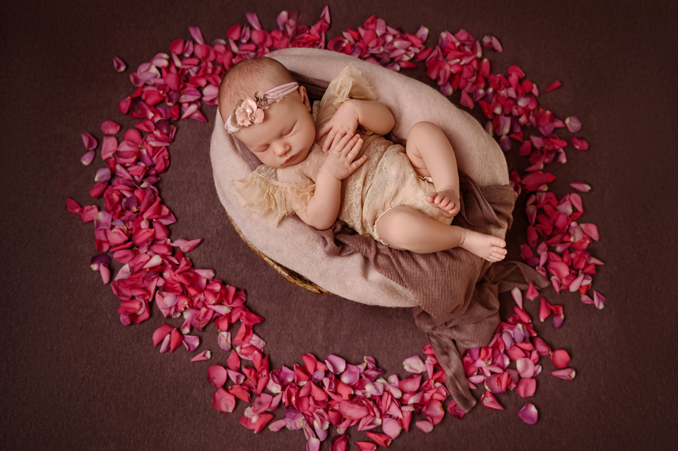 Newborn girl. Фотограф новорожденных малышей в Санкт-Петербурге