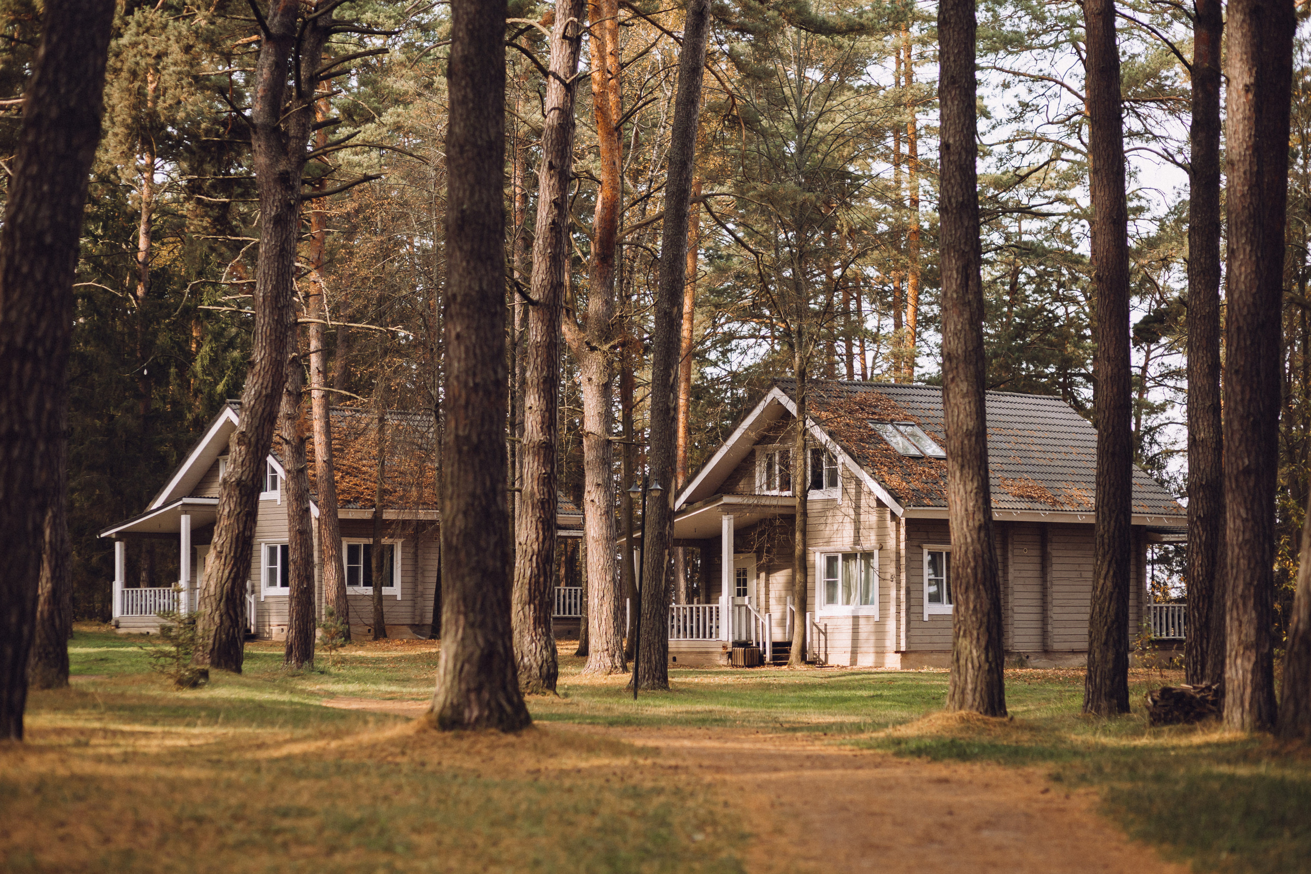 Свадьба в Pine River. FOTOZ Studio / Фотовидеомейкер Андрей Смирнов