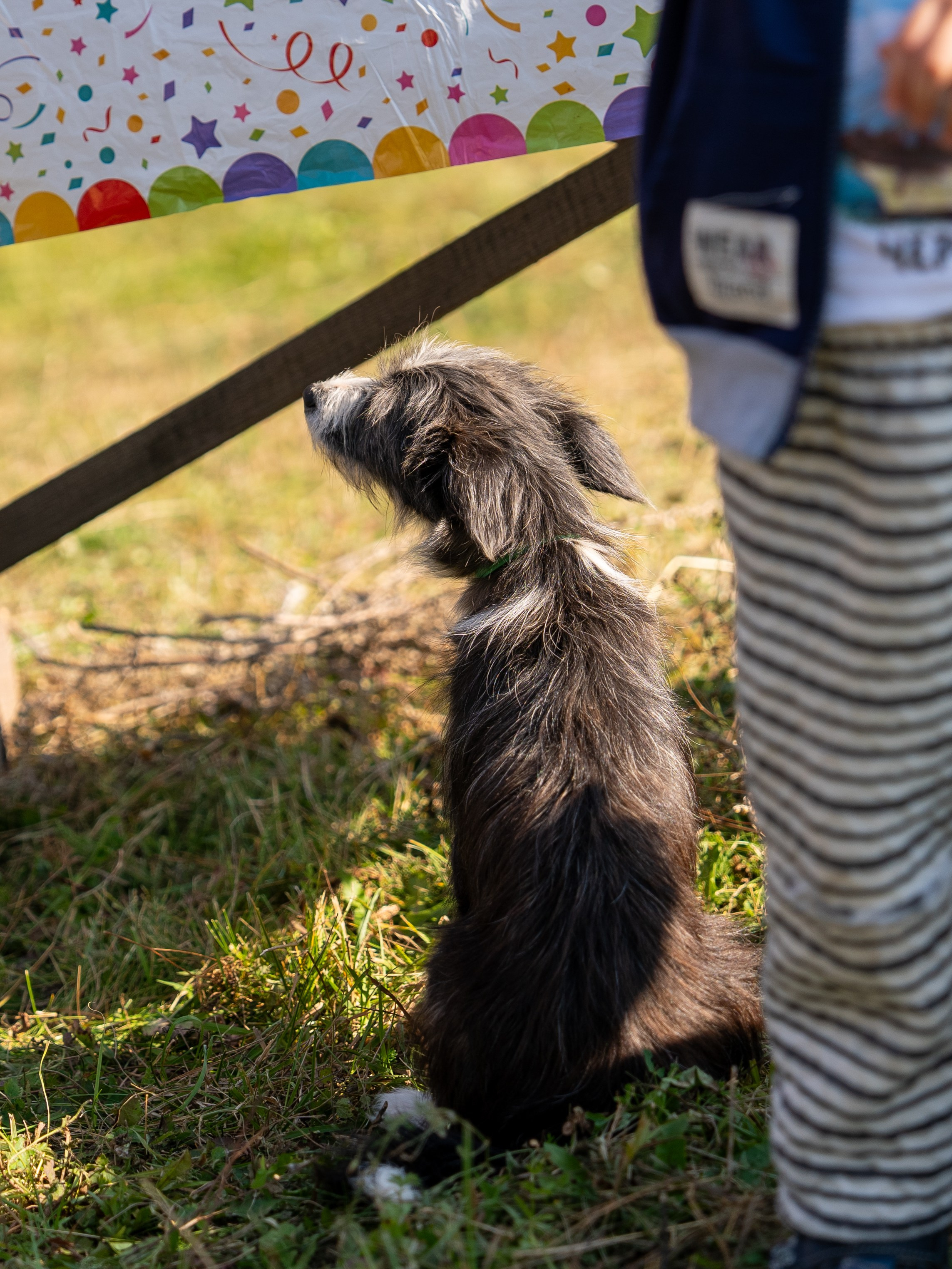 Ярмарка. Фотограф Наталья Сорока Ижевск