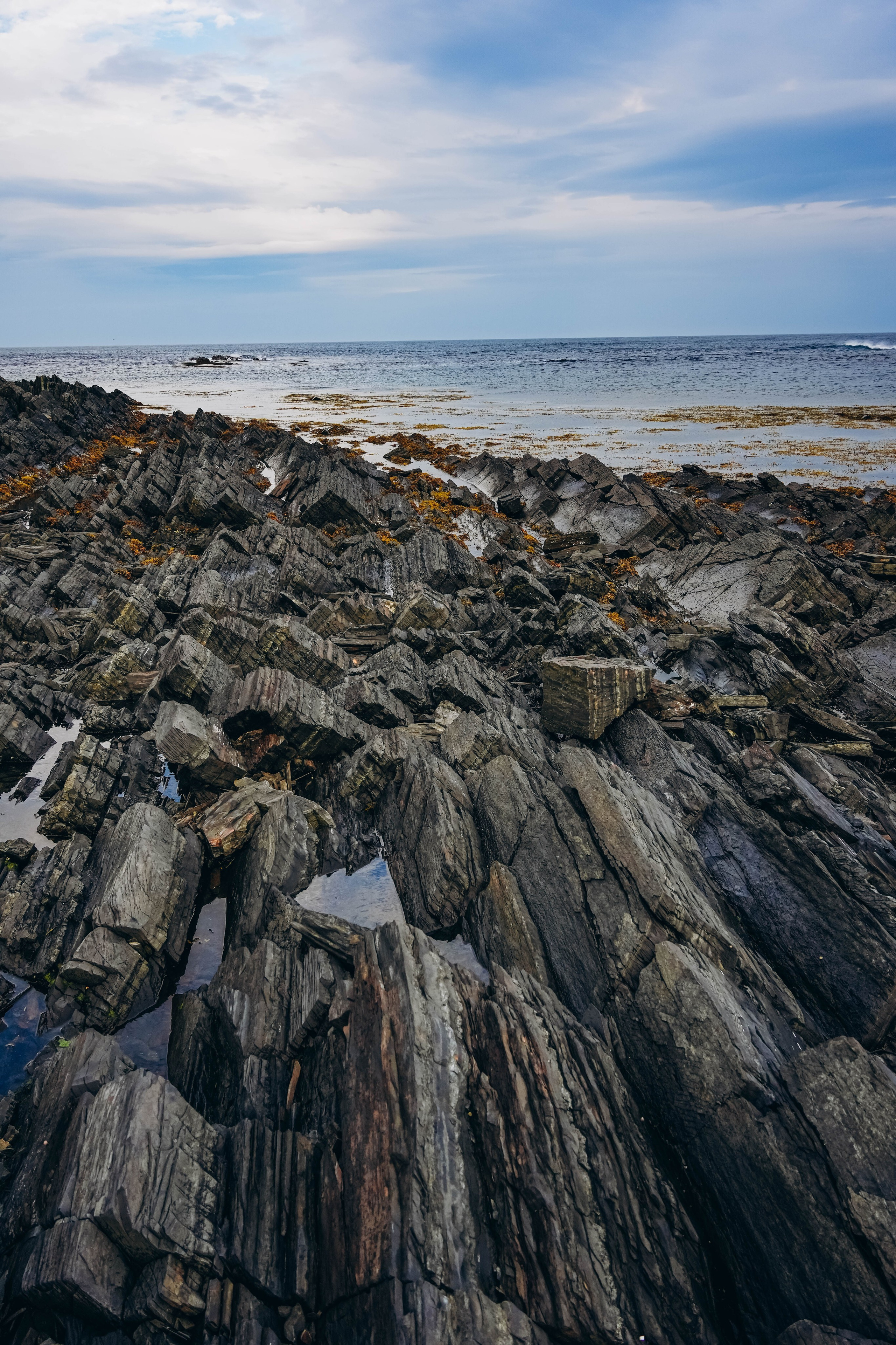СЕВЕР. Event фотограф Степанова Александра