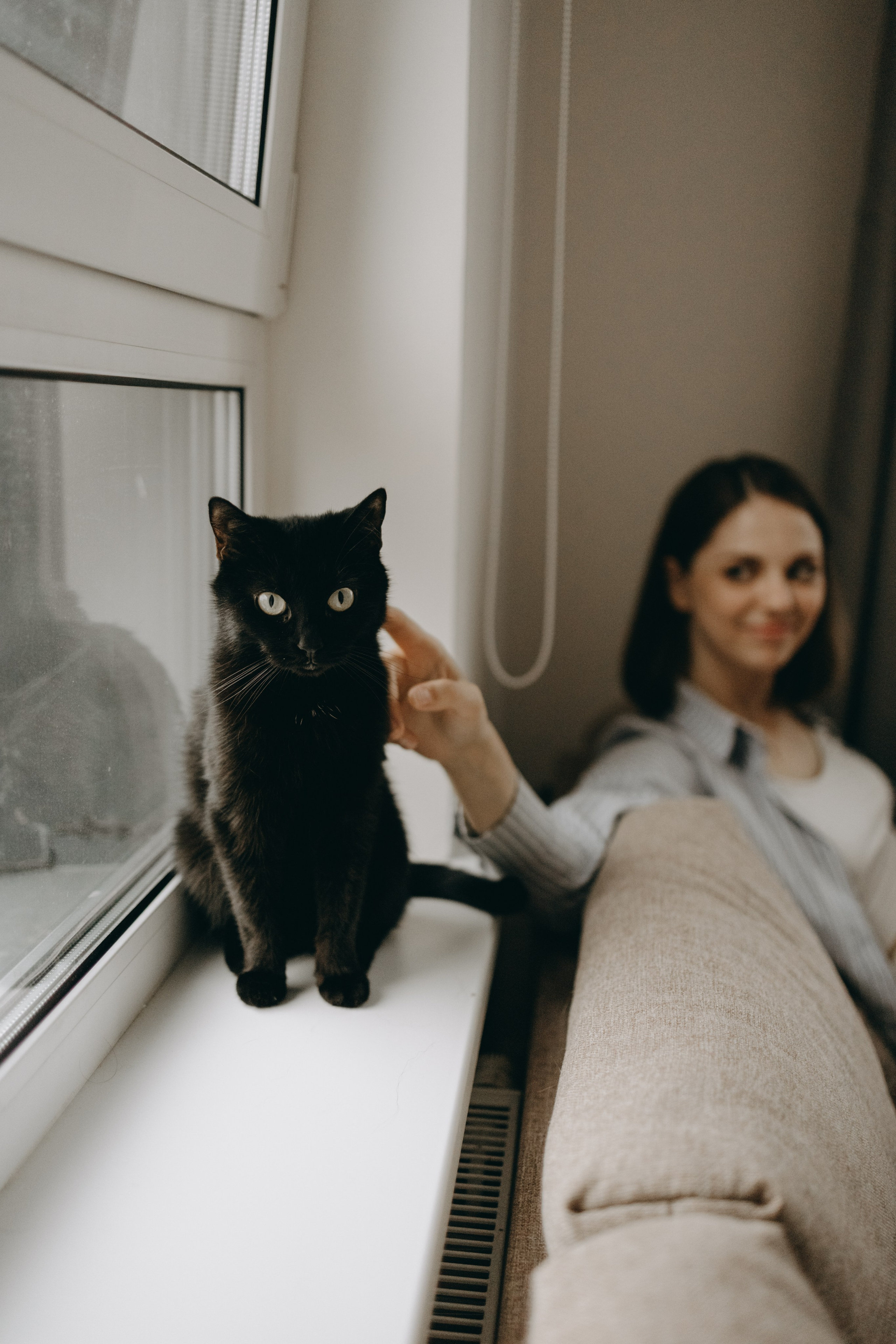 Настя, Никита и их Гром и Мяу. Фотограф — Анималист | Санкт-Петербург