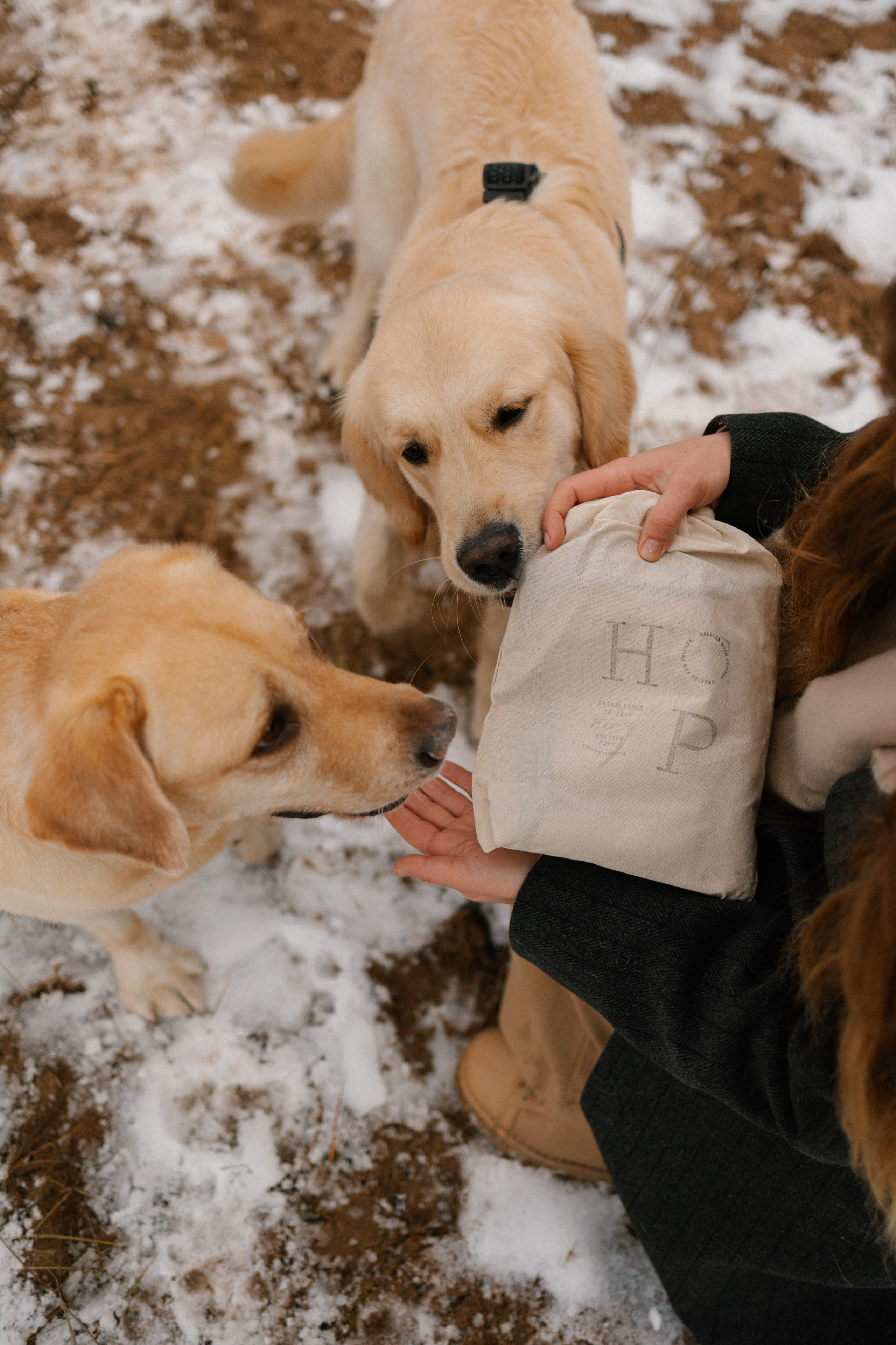 Ирина и Бася. Фотограф — Анималист | Санкт-Петербург