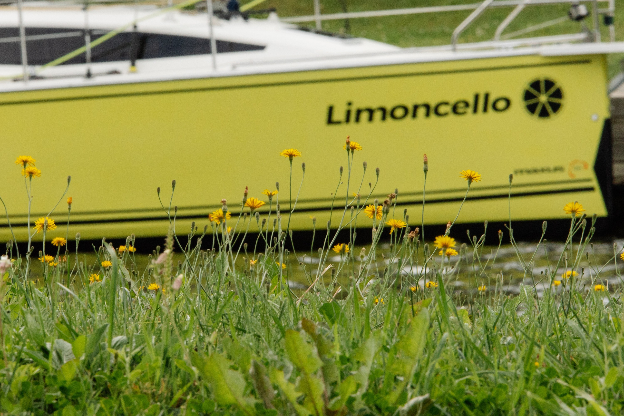 Корпоративный репортаж. Репортажный фотограф. Москва. Алина Ланская