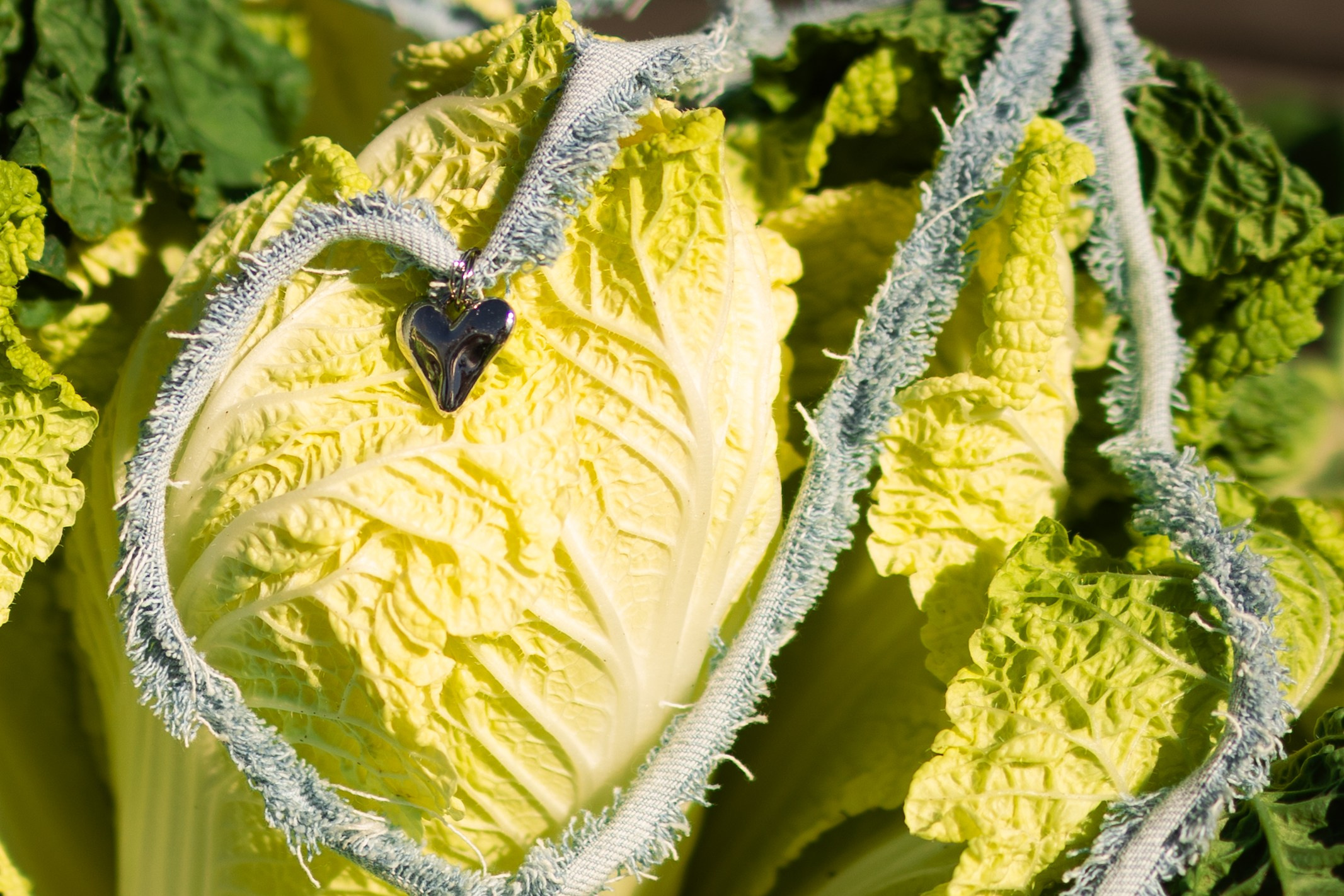Сшиты на века. Свадебный фотограф. Краснодар, Сочи, Новороссийск. Вадим Мерье