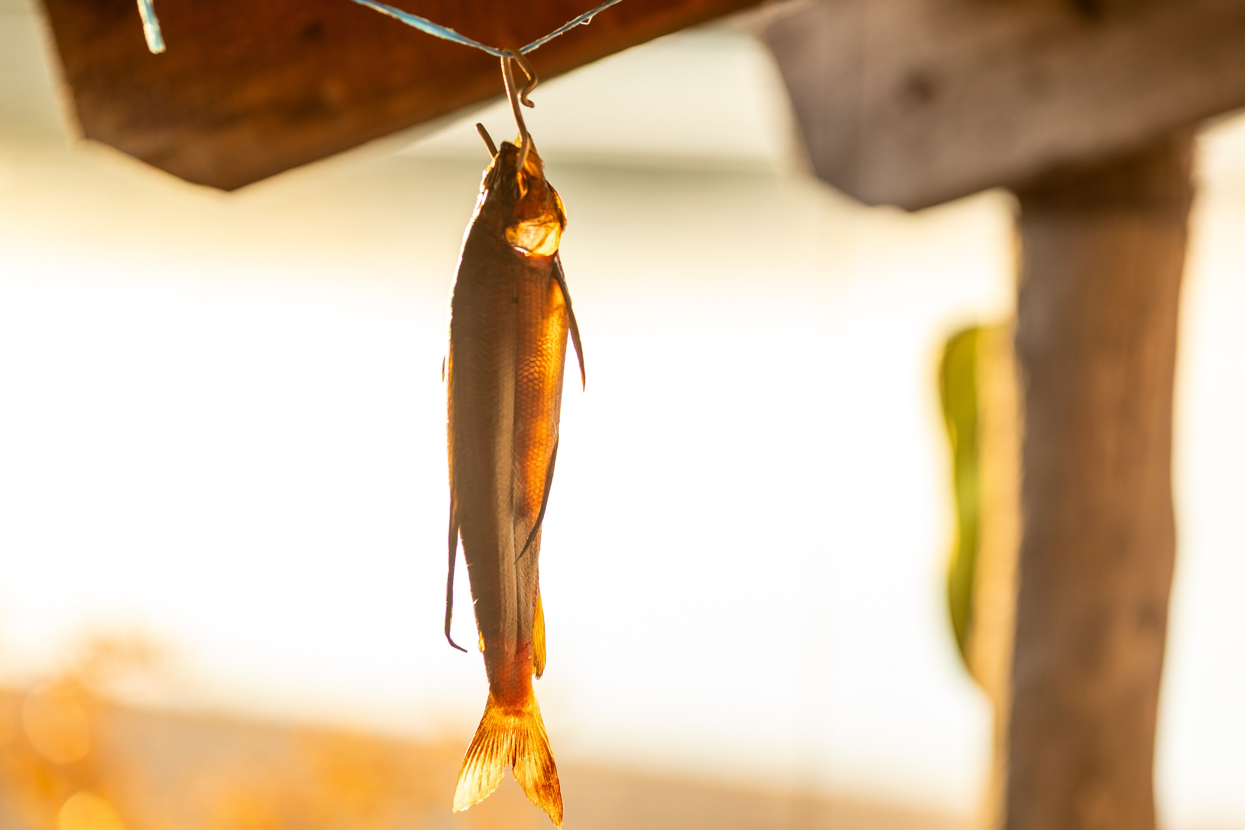 Озеро Джека Лондона. Тревел-фотограф Олег Гуров