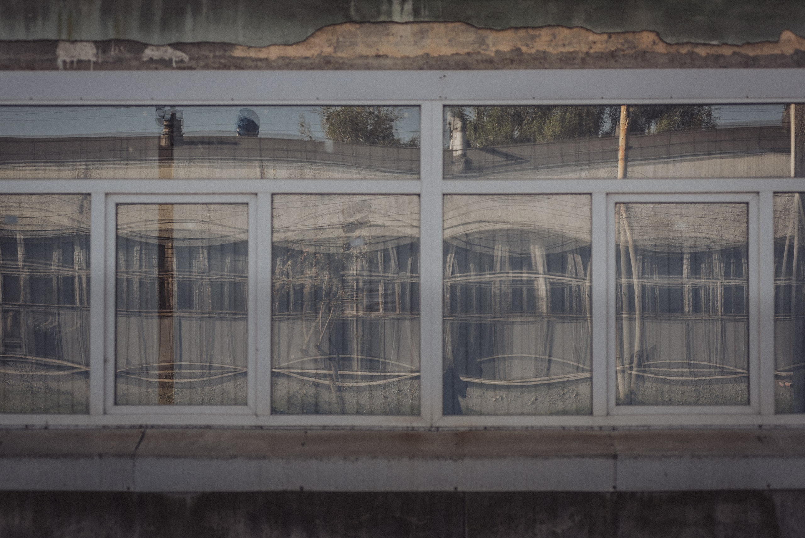 Проект #улицыгорода. Ярославль, улица Большая Фёдоровская. Документальный фотограф Илья Тихановский