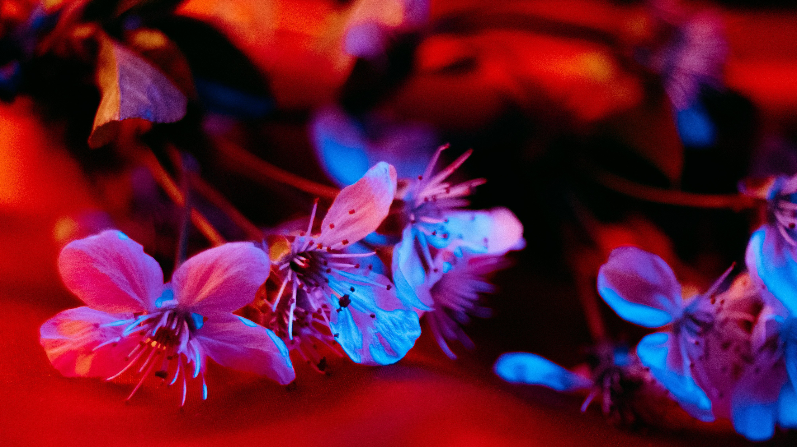 REVIEWS. Photographer Zoya Smirnova