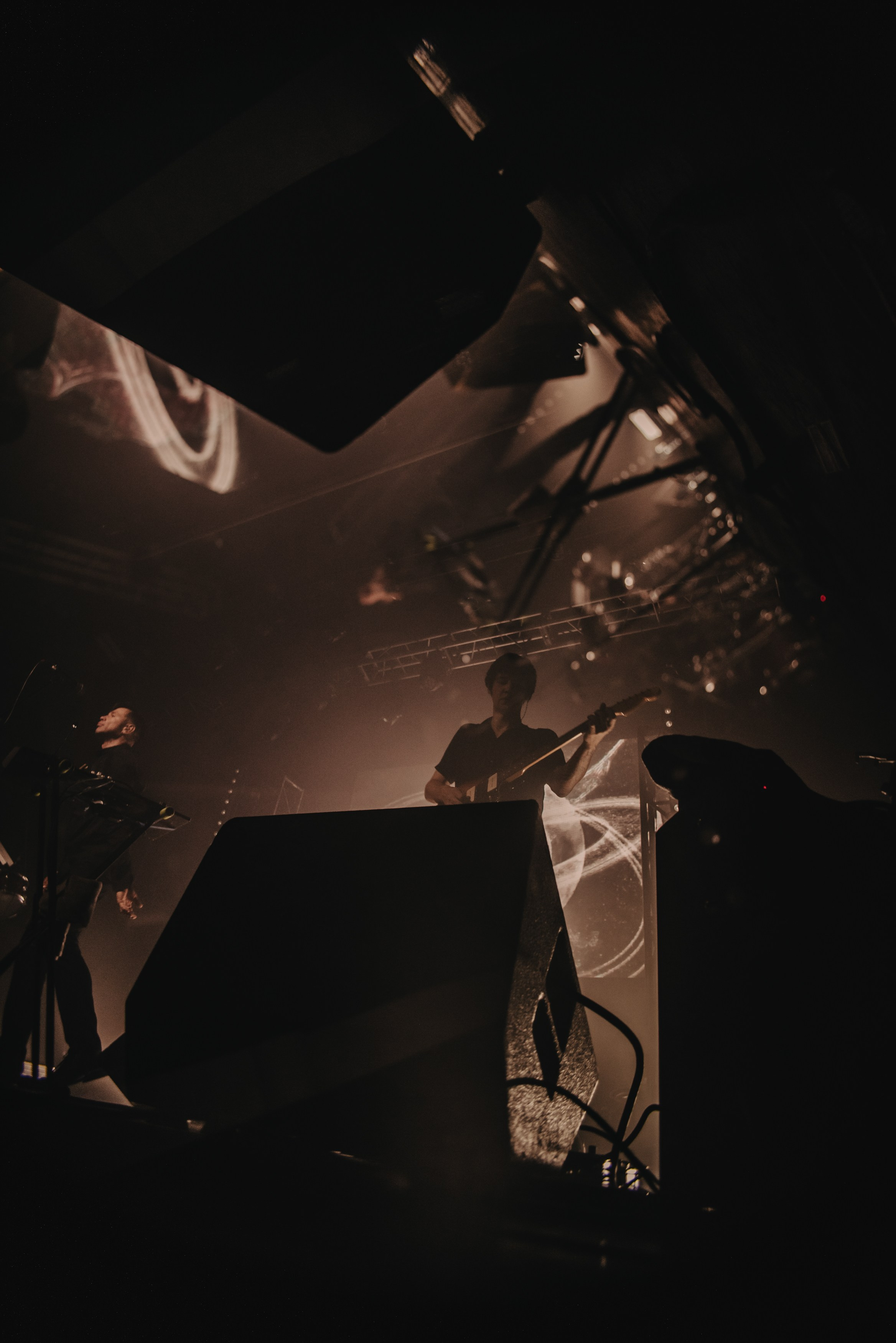 Дельфин | Gaudi. Контент фотограф Илья Урс