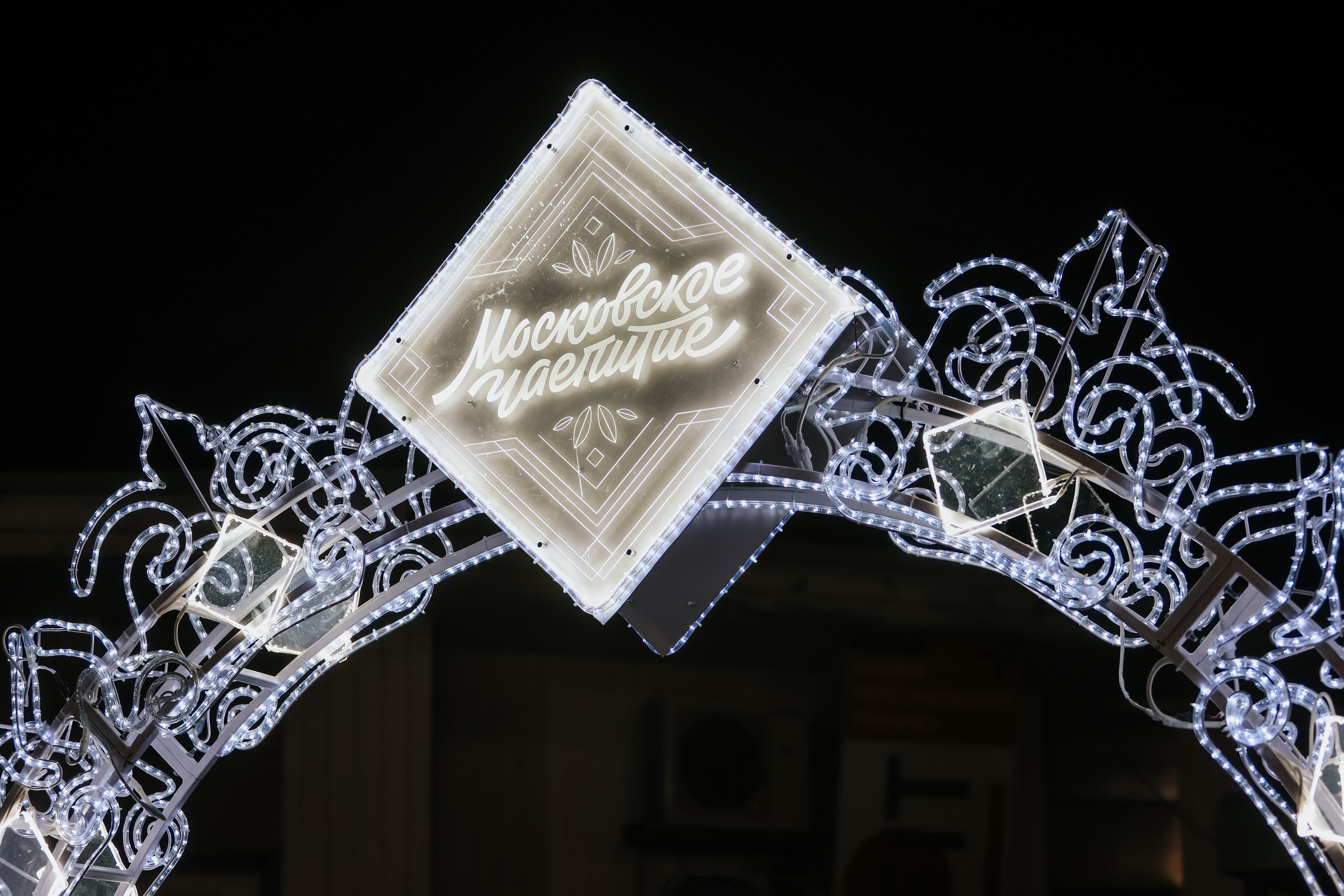 Ледовое шоу Сокольники Московское Чаепитие. Фотограф и видеограф Анна Домашенко